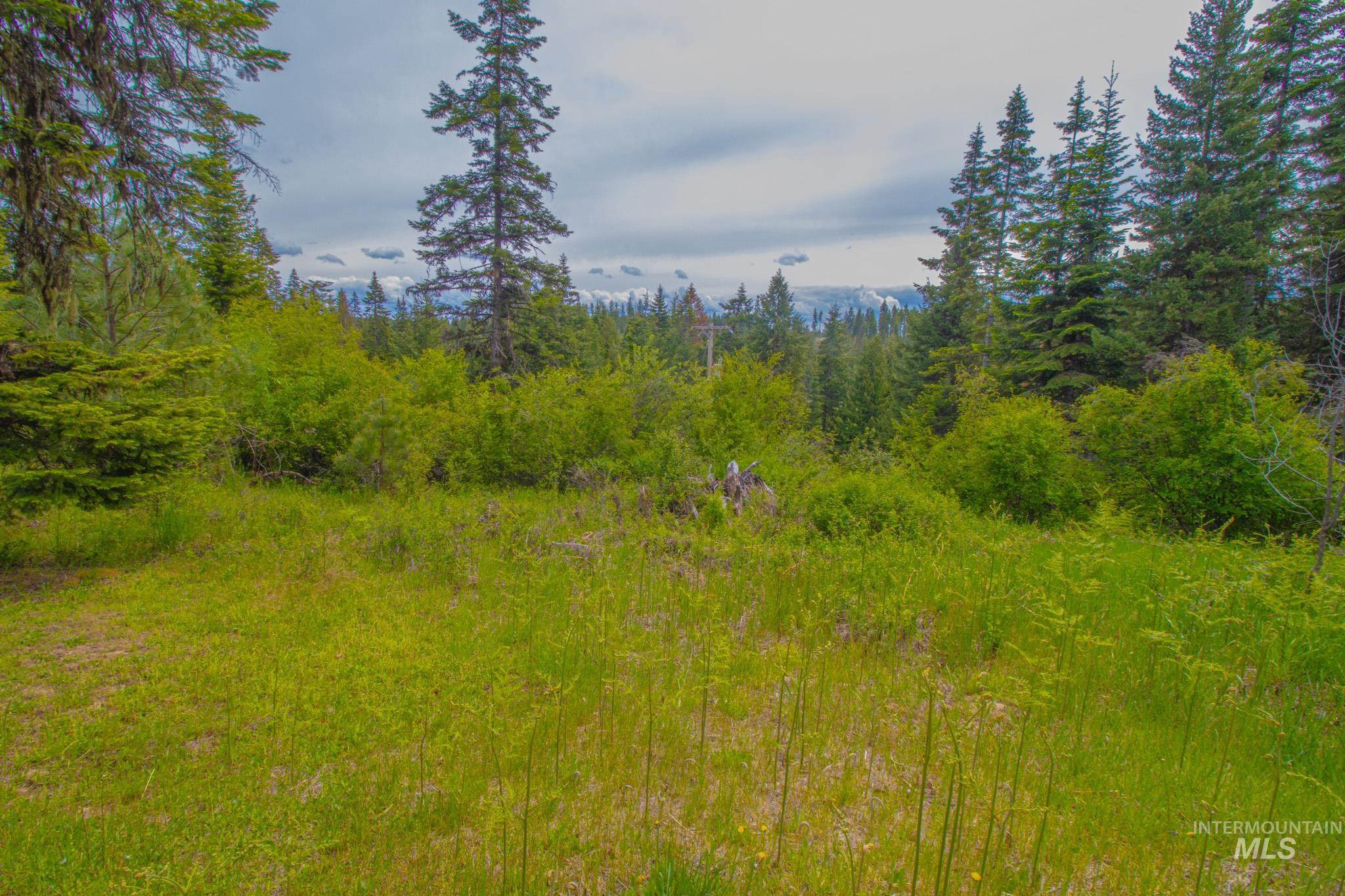 668 Sagewood Dr, Orofino, Idaho 83544, 1 Bedroom, 2 Bathrooms, Residential For Sale, Price $335,000,MLS 98988583