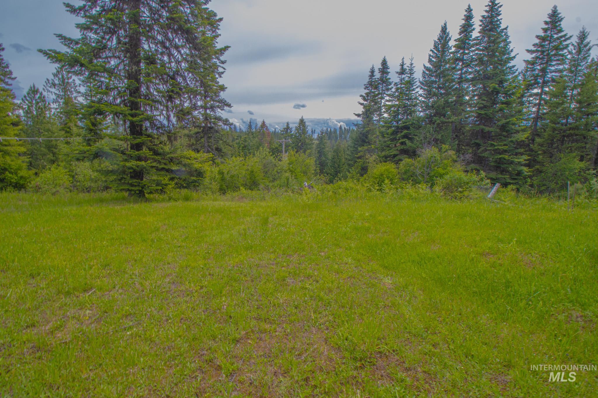 668 Sagewood Dr, Orofino, Idaho 83544, 1 Bedroom, 2 Bathrooms, Residential For Sale, Price $335,000,MLS 98988583