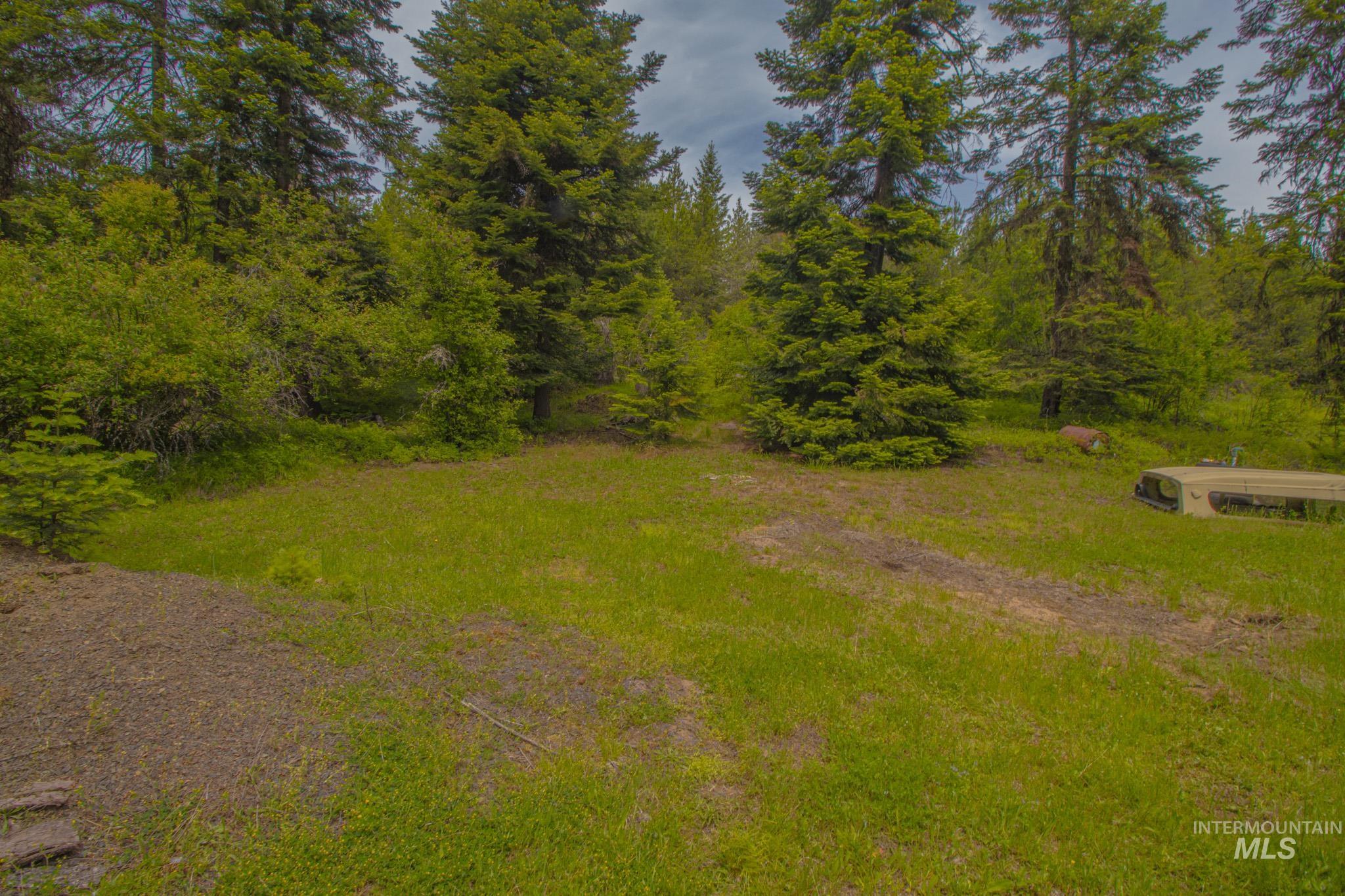 668 Sagewood Dr, Orofino, Idaho 83544, 1 Bedroom, 2 Bathrooms, Residential For Sale, Price $335,000,MLS 98988583