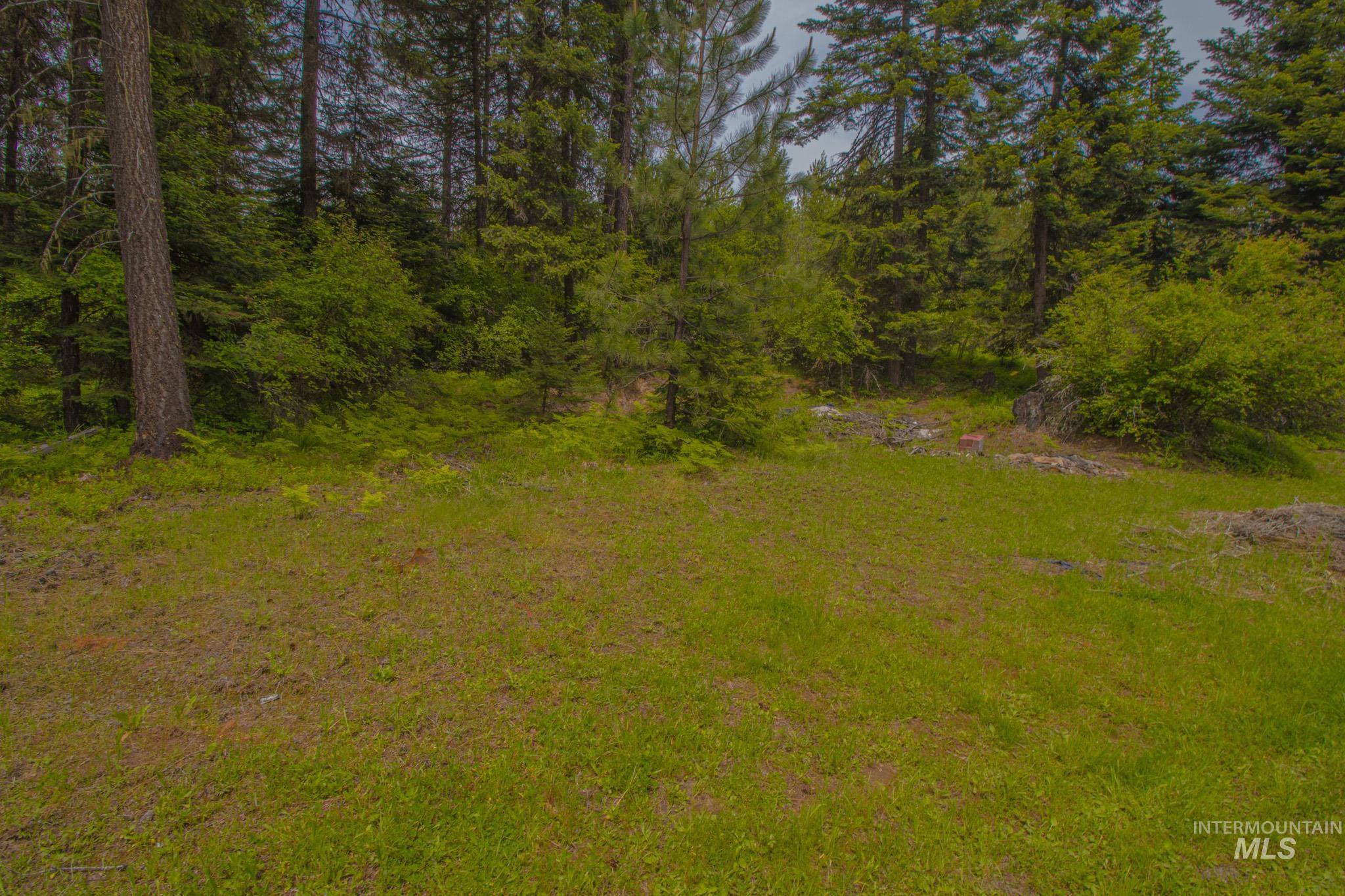 668 Sagewood Dr, Orofino, Idaho 83544, 1 Bedroom, 2 Bathrooms, Residential For Sale, Price $335,000,MLS 98988583