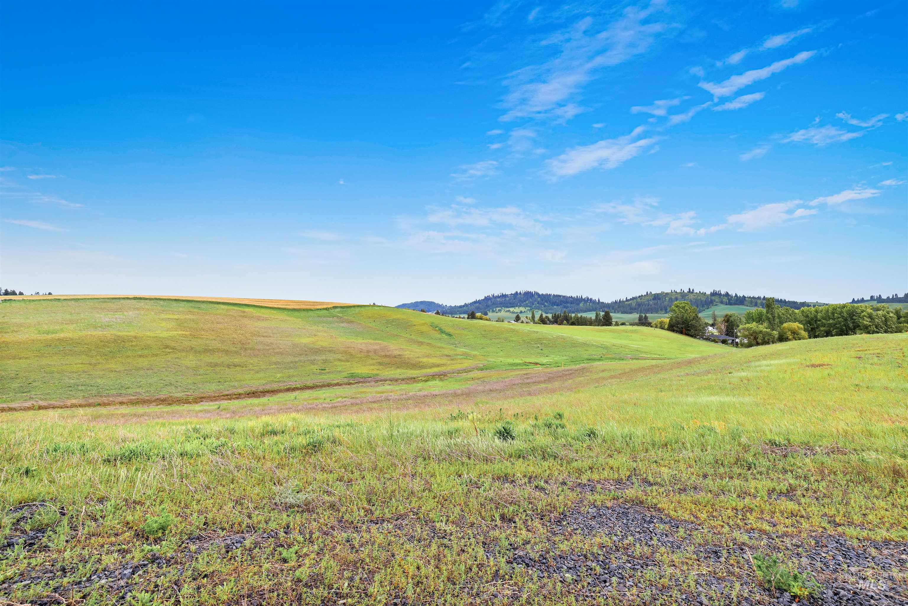 TBD Reams Rd, Moscow, Idaho 83843, Land For Sale, Price $495,000,MLS 98988759