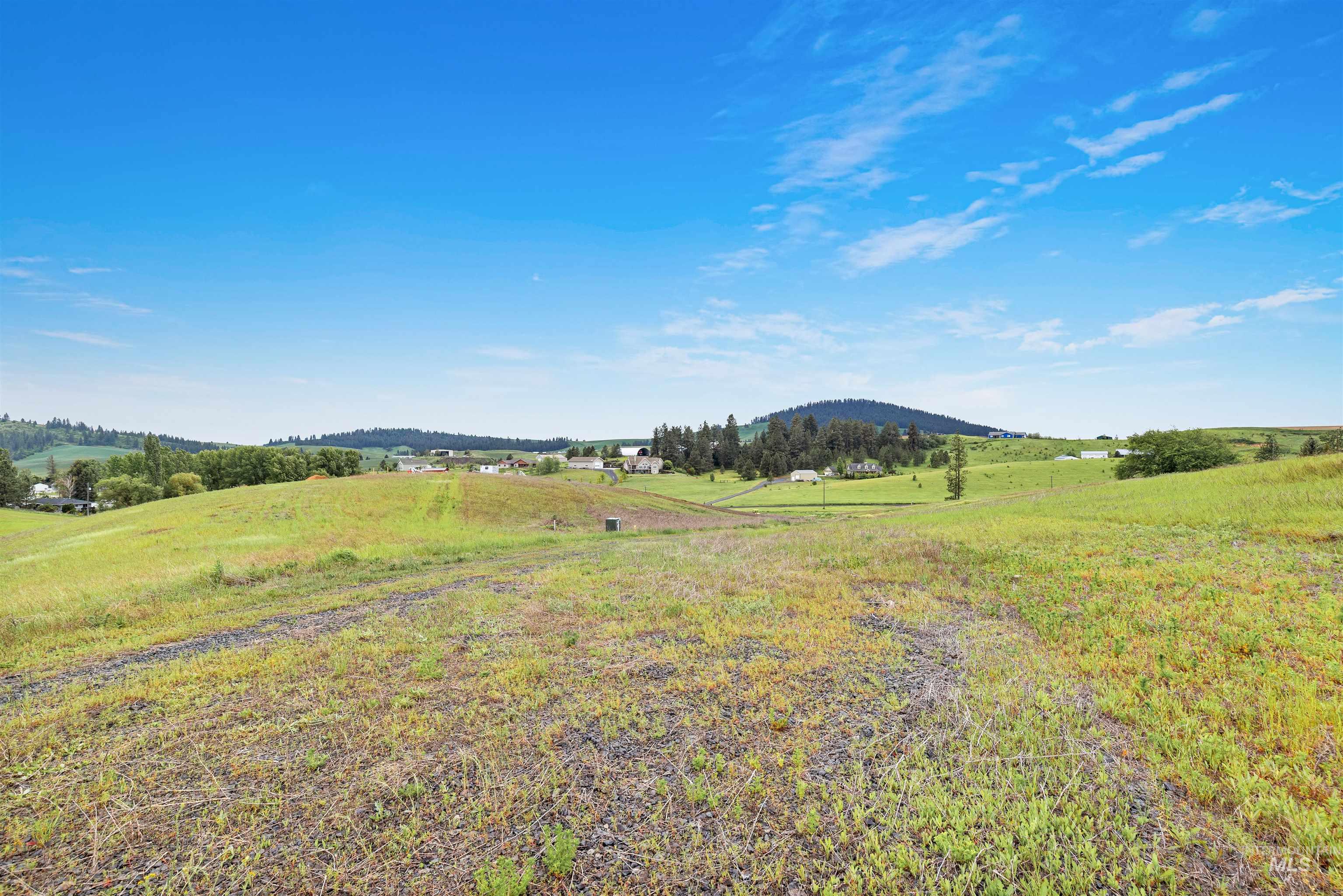 TBD Reams Rd, Moscow, Idaho 83843, Land For Sale, Price $495,000,MLS 98988759