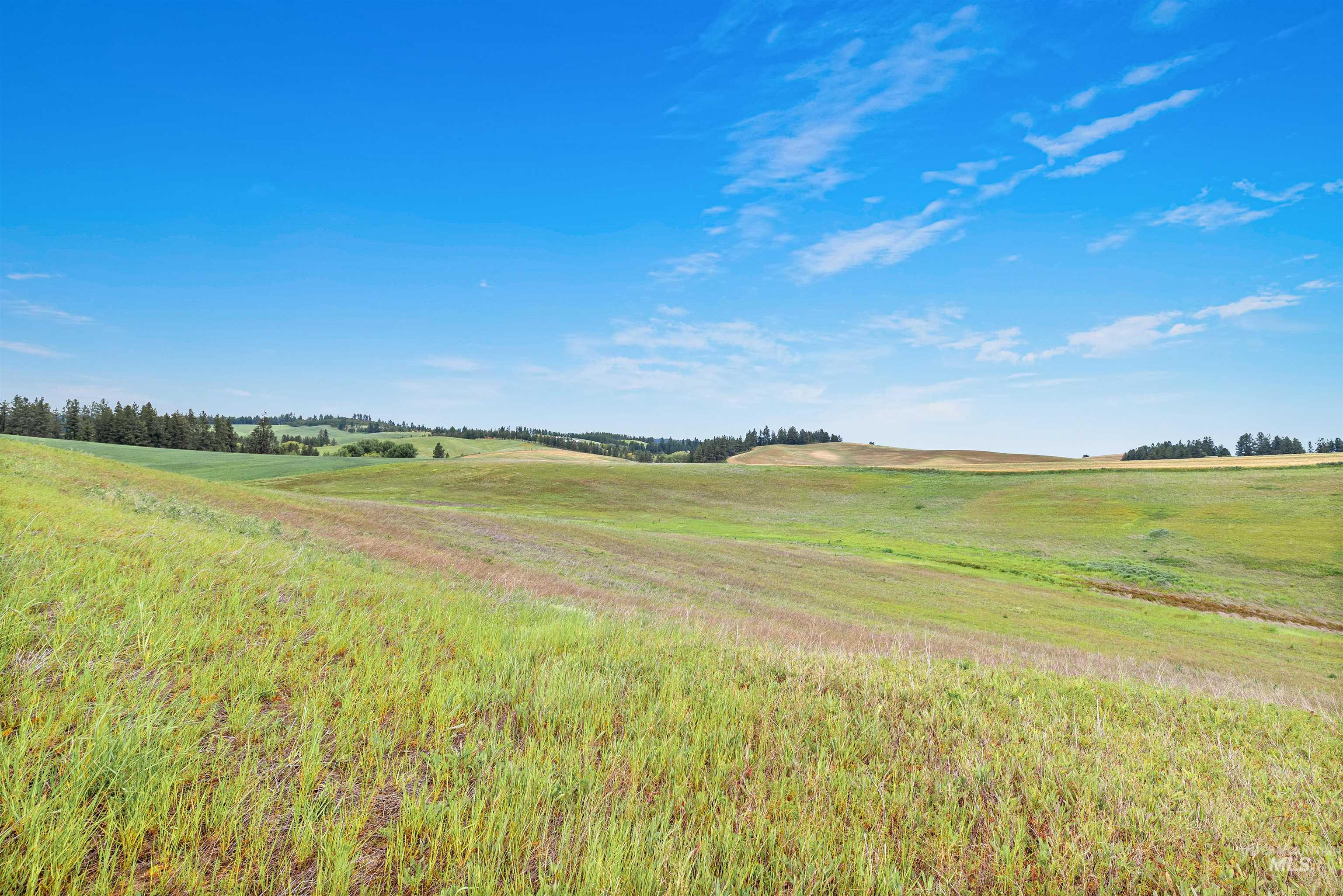 TBD Reams Rd, Moscow, Idaho 83843, Land For Sale, Price $495,000,MLS 98988759