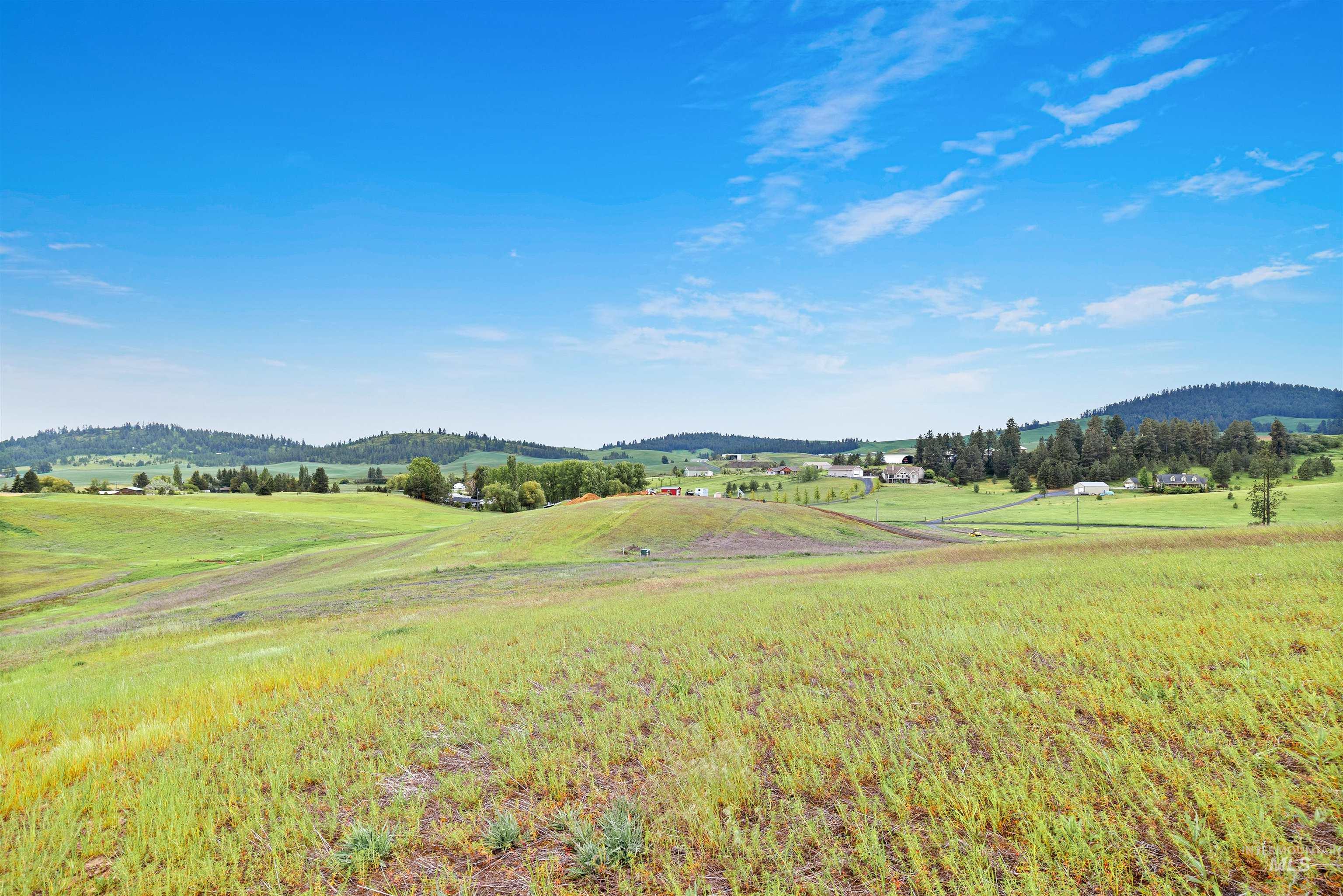 TBD Reams Rd, Moscow, Idaho 83843, Land For Sale, Price $495,000,MLS 98988759