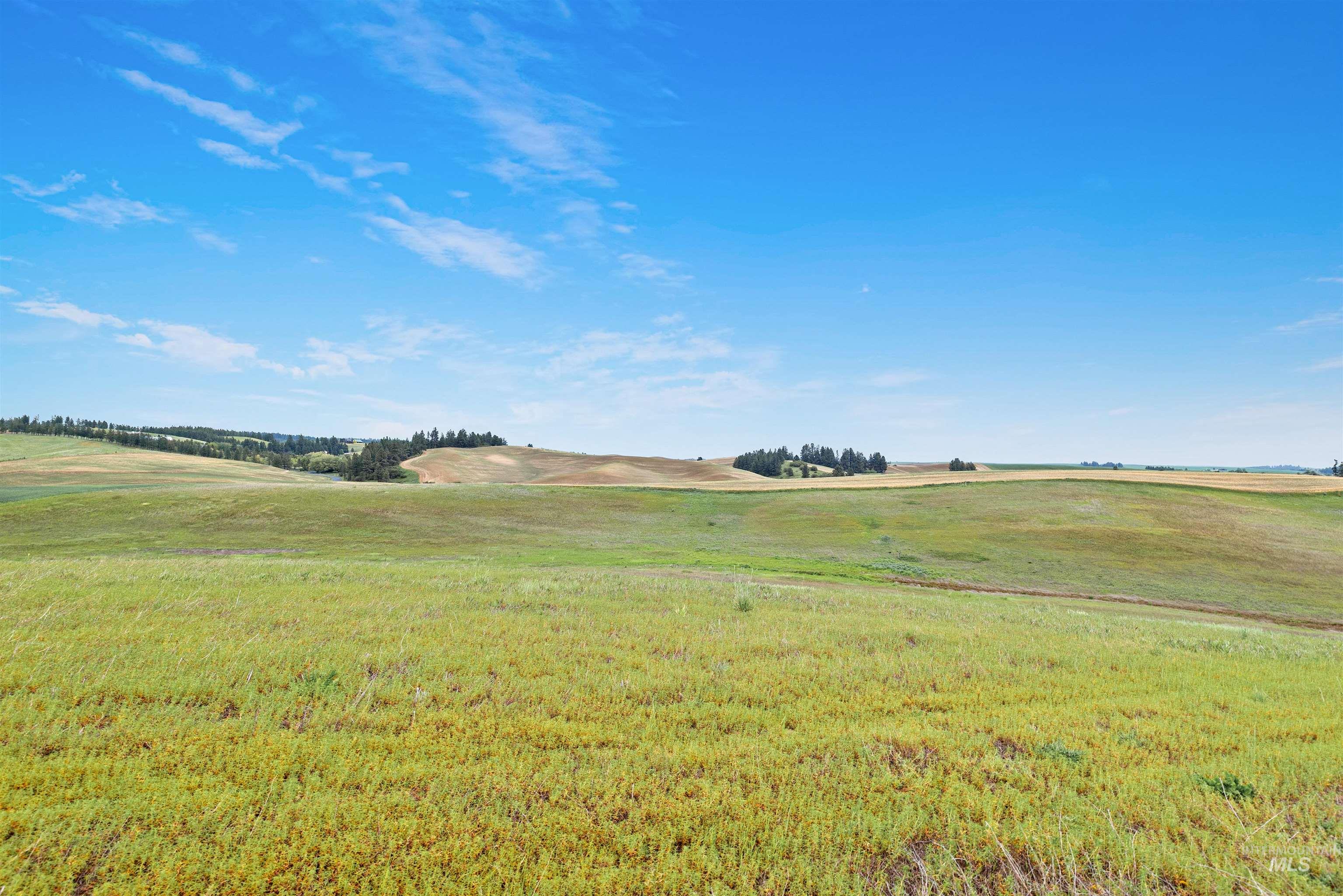 TBD Reams Rd, Moscow, Idaho 83843, Land For Sale, Price $495,000,MLS 98988759