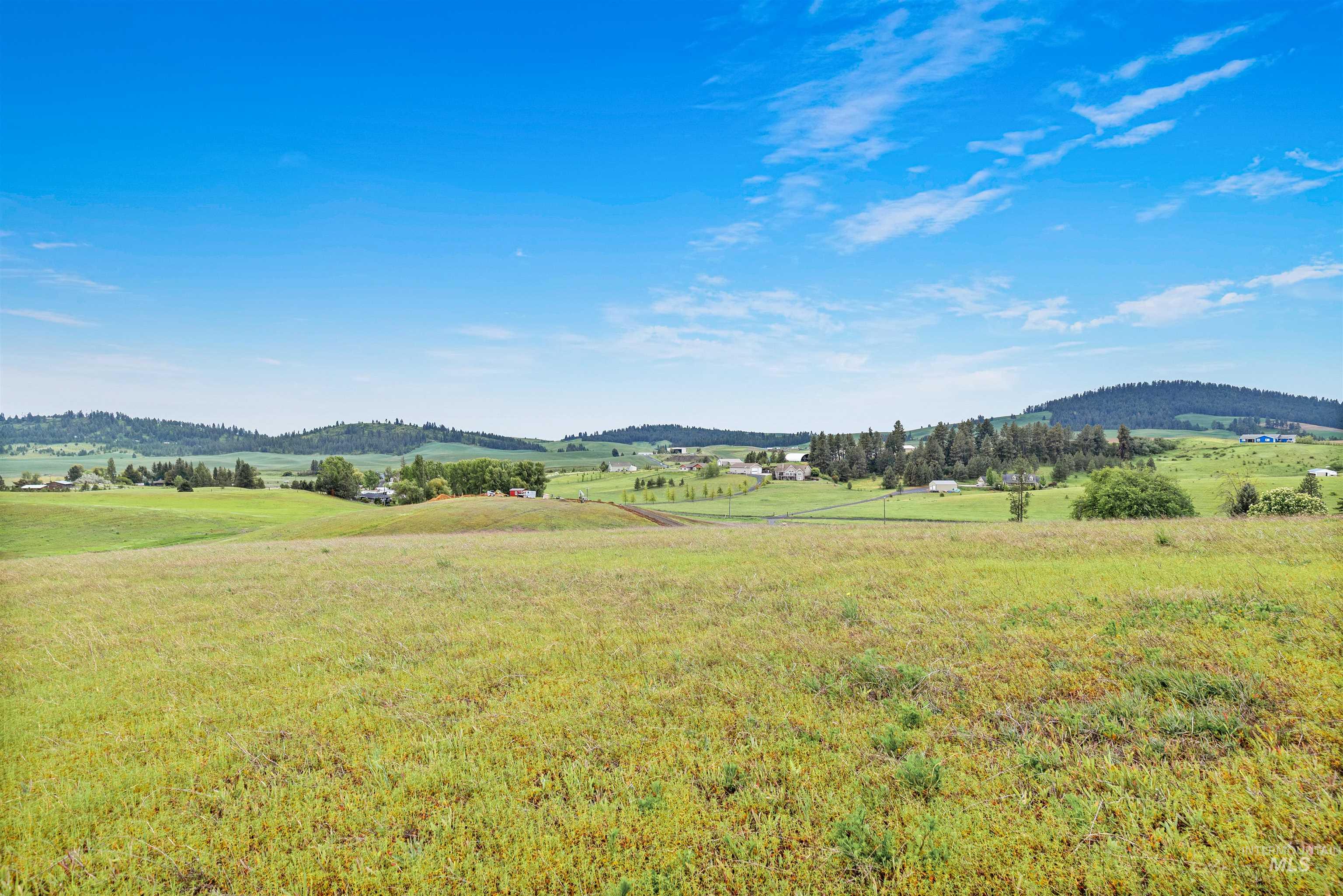 TBD Reams Rd, Moscow, Idaho 83843, Land For Sale, Price $495,000,MLS 98988759