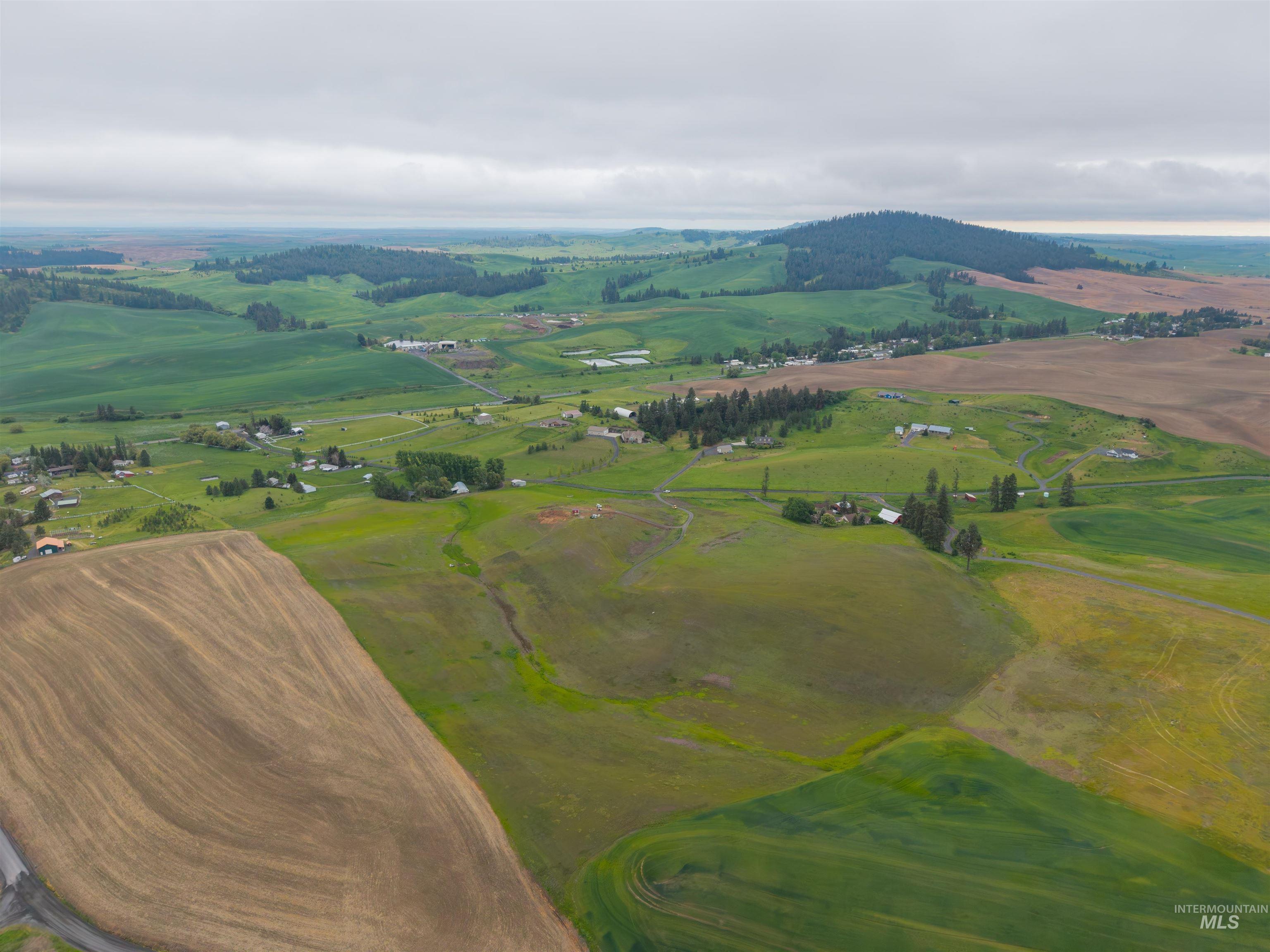 TBD Reams Rd, Moscow, Idaho 83843, Land For Sale, Price $495,000,MLS 98988759