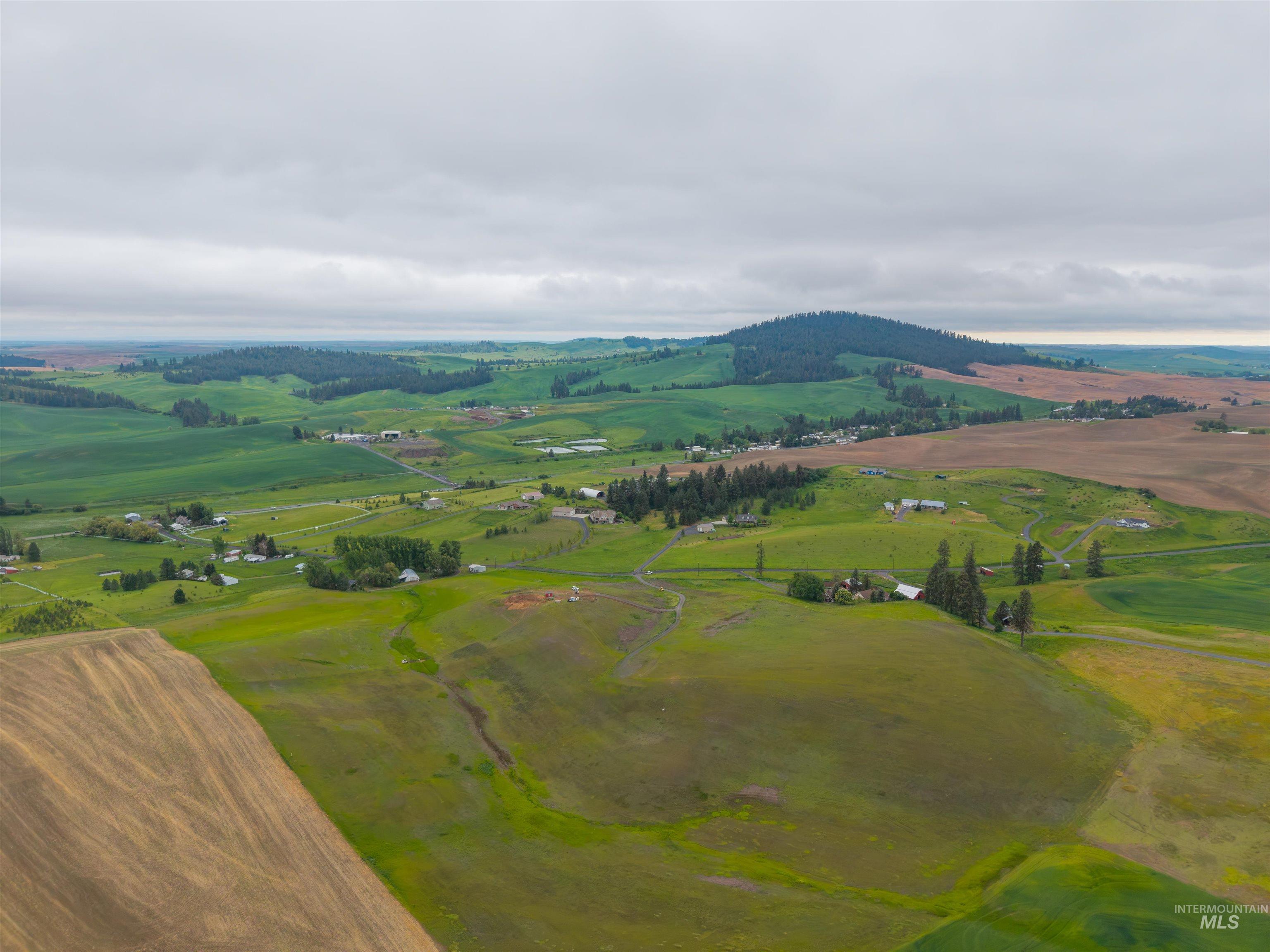 TBD Reams Rd, Moscow, Idaho 83843, Land For Sale, Price $495,000,MLS 98988759