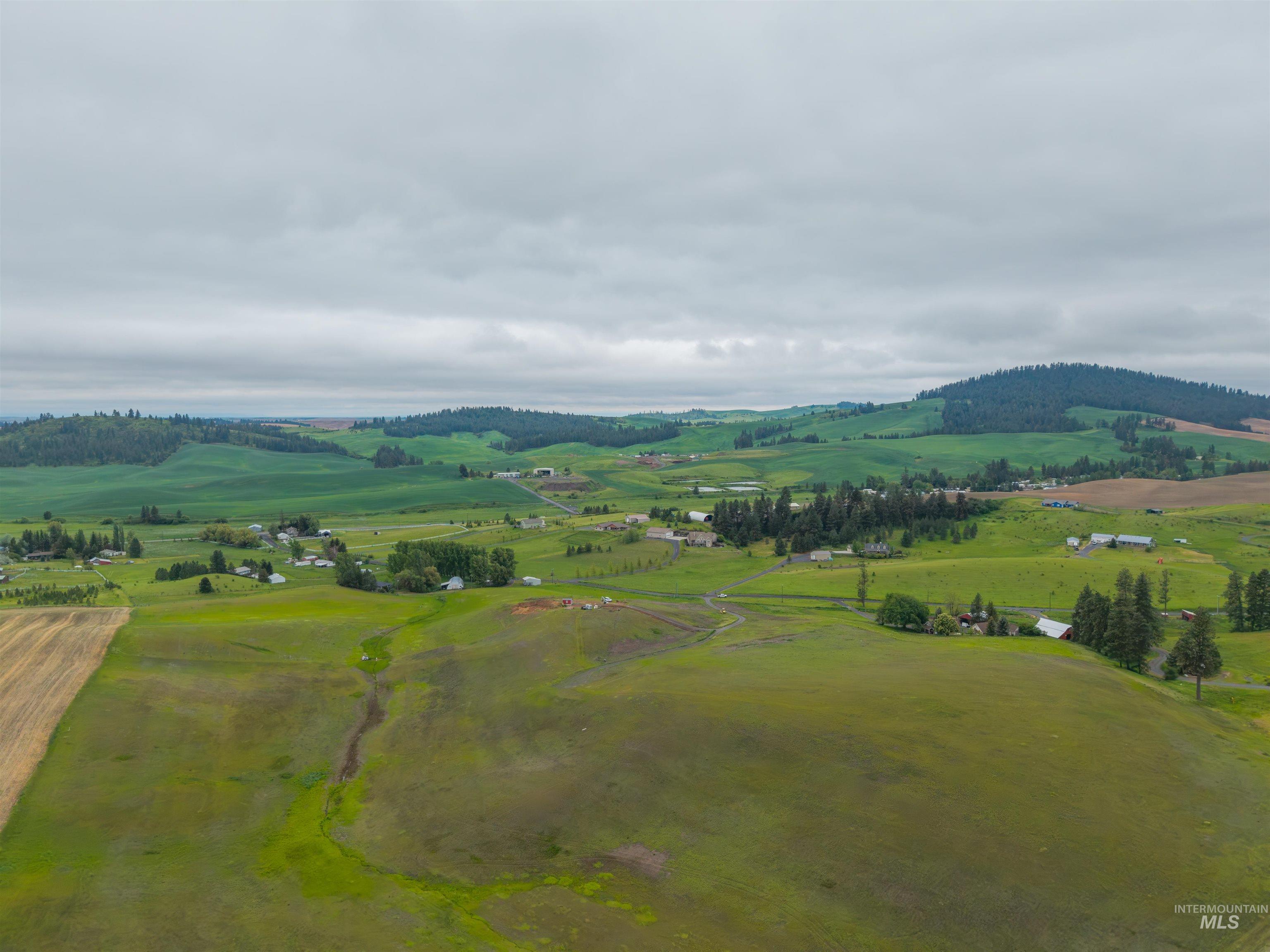 TBD Reams Rd, Moscow, Idaho 83843, Land For Sale, Price $495,000,MLS 98988759