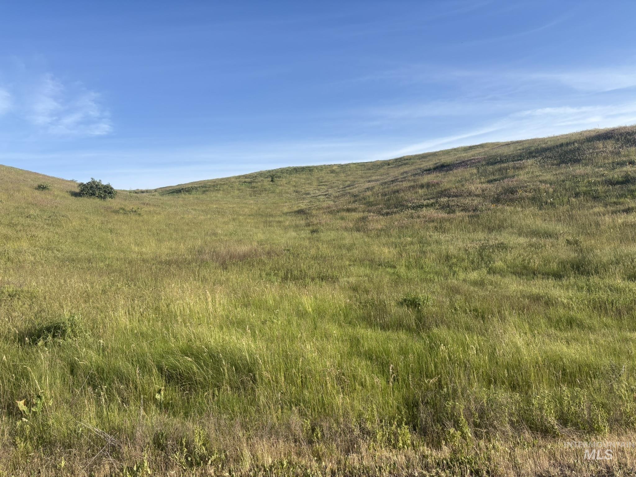 TBD Bethel Rd, Horseshoe Bend, Idaho 83629, Land For Sale, Price $210,000,MLS 98988761