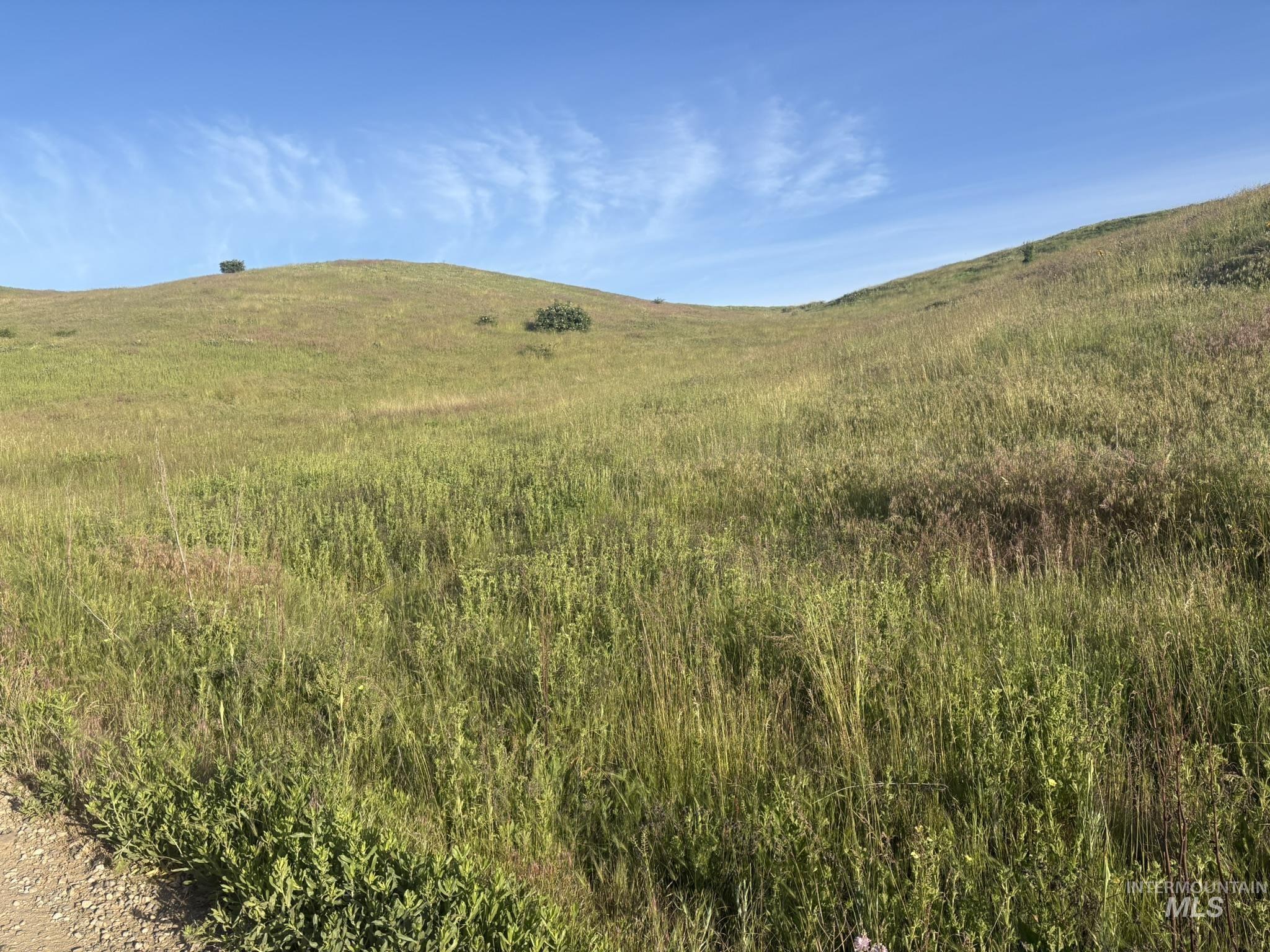 TBD Bethel Rd, Horseshoe Bend, Idaho 83629, Land For Sale, Price $210,000,MLS 98988761
