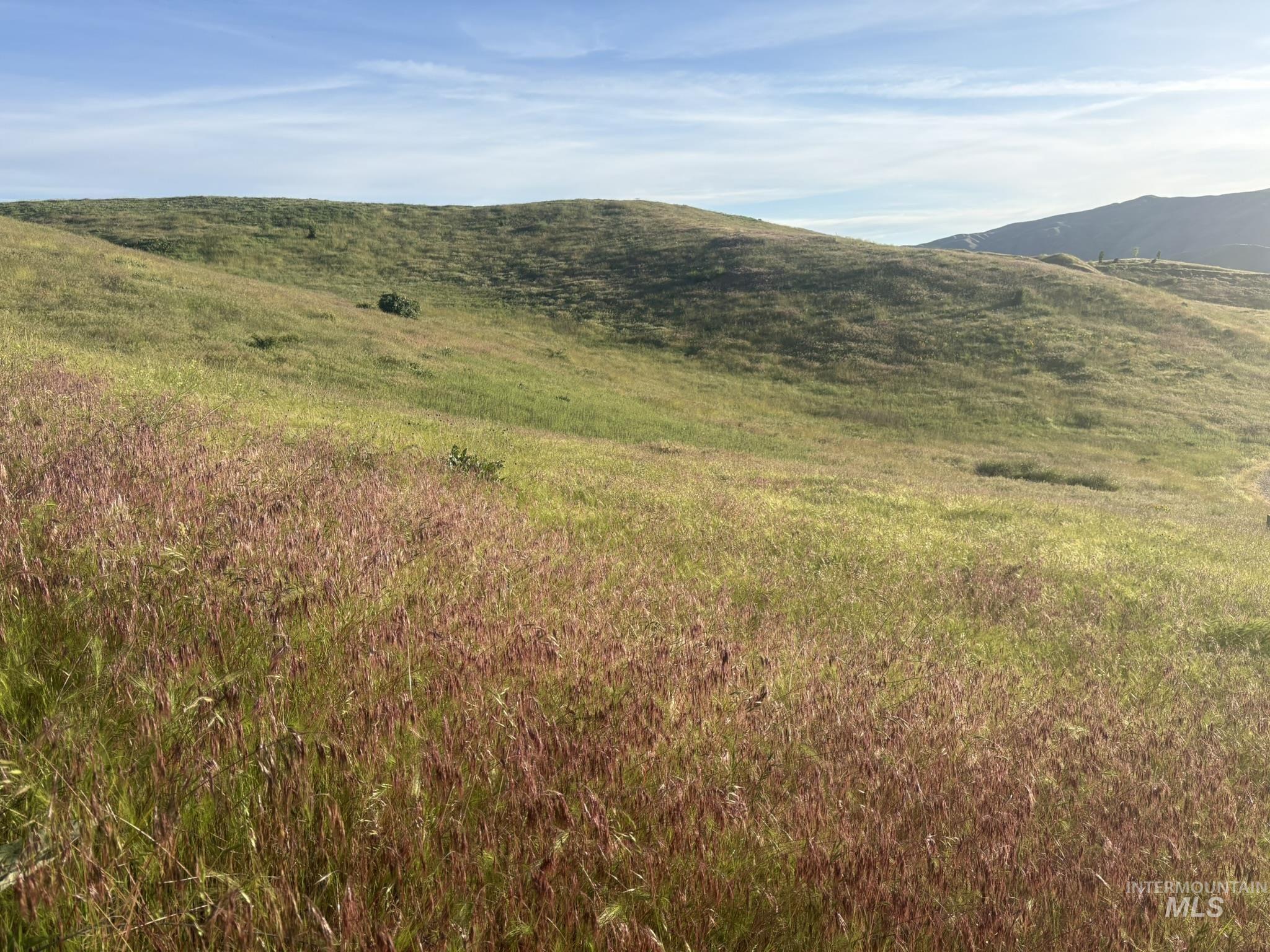 TBD Bethel Rd, Horseshoe Bend, Idaho 83629, Land For Sale, Price $210,000,MLS 98988761