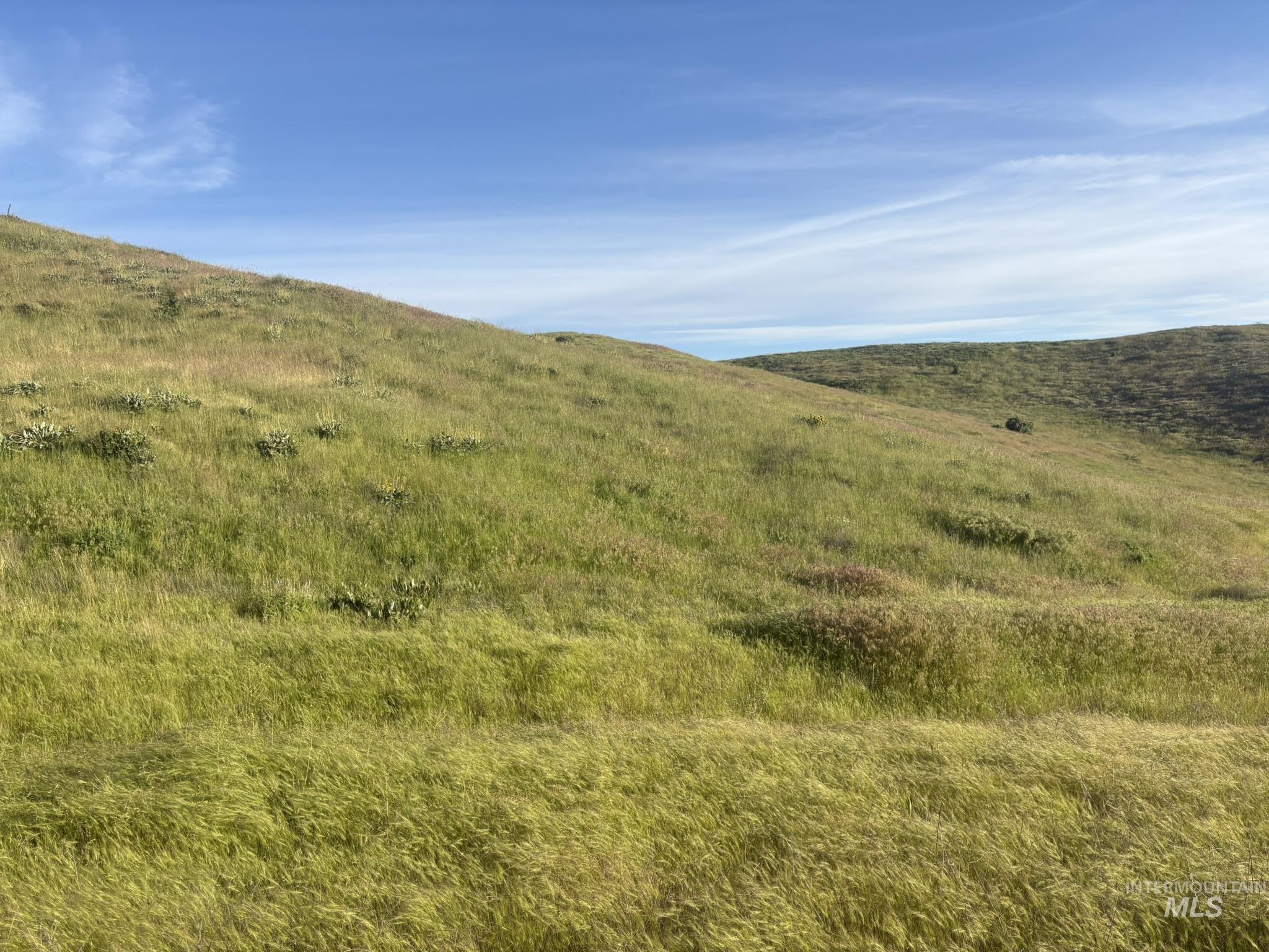 TBD Bethel Rd, Horseshoe Bend, Idaho 83629, Land For Sale, Price $210,000,MLS 98988761
