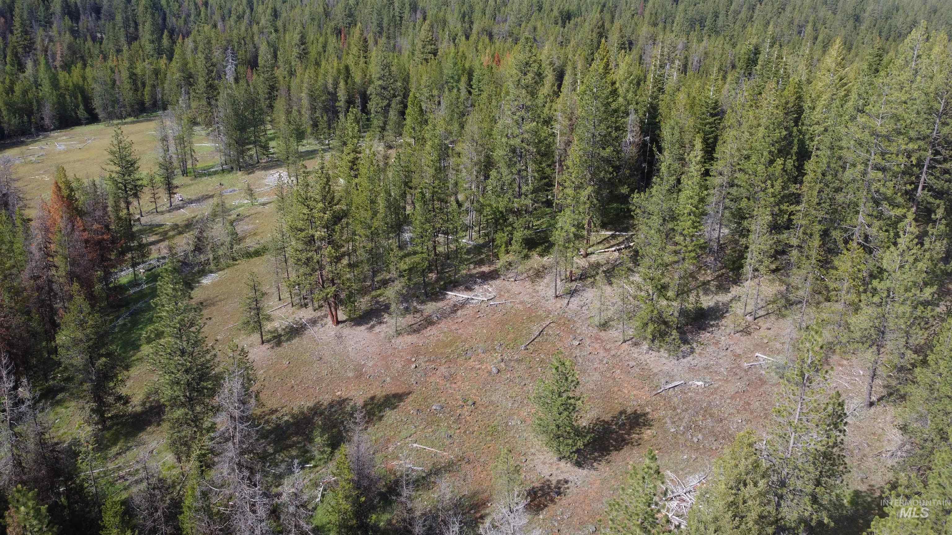 NKA Winchester, Waha, Idaho 83555, Land For Sale, Price $69,900,MLS 98988784