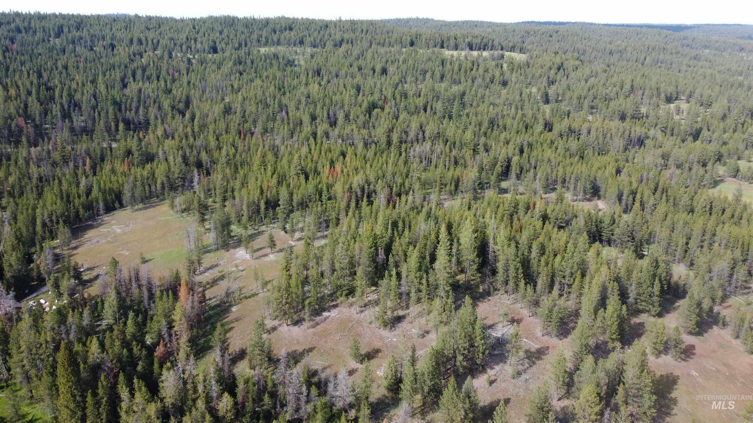 NKA Winchester, Waha, Idaho 83555, Land For Sale, Price $69,900,MLS 98988784