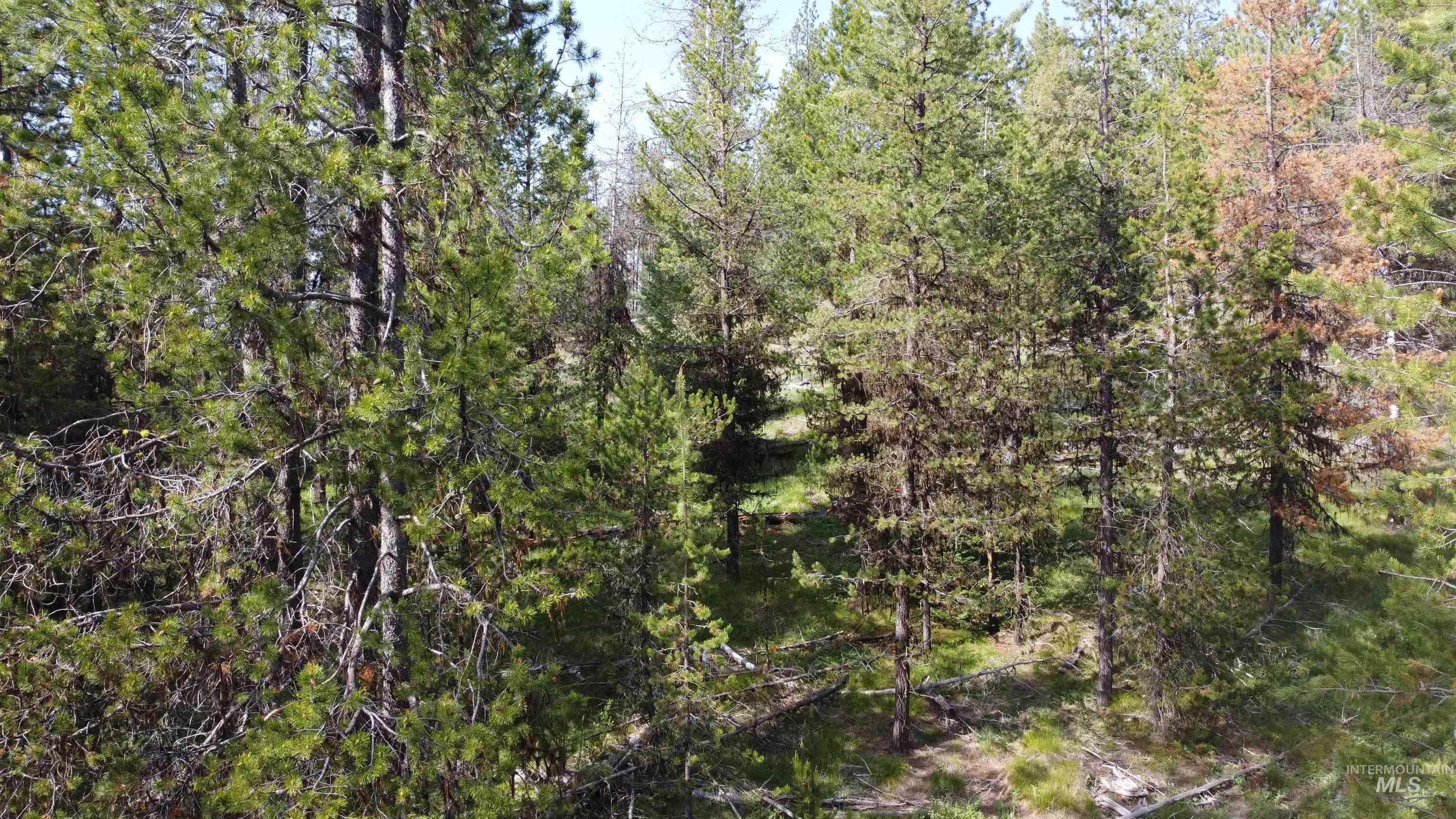 NKA Winchester, Waha, Idaho 83555, Land For Sale, Price $69,900,MLS 98988784