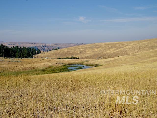 TBD Ditch Creek Road, Council, Idaho 83612, Land For Sale, Price $1,595,000,MLS 98988786