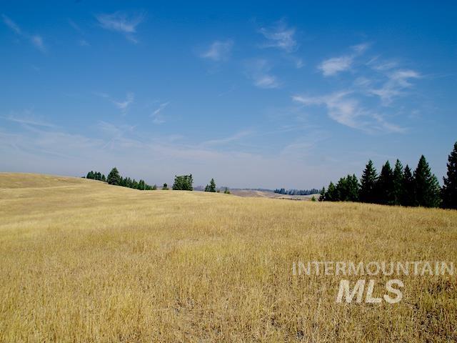 TBD Ditch Creek Road, Council, Idaho 83612, Land For Sale, Price $1,595,000,MLS 98988786