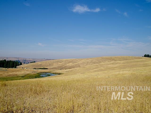 TBD Ditch Creek Road, Council, Idaho 83612, Land For Sale, Price $1,595,000,MLS 98988786