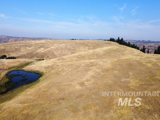 TBD Ditch Creek Road, Council, Idaho 83612, Land For Sale, Price $1,595,000,MLS 98988786
