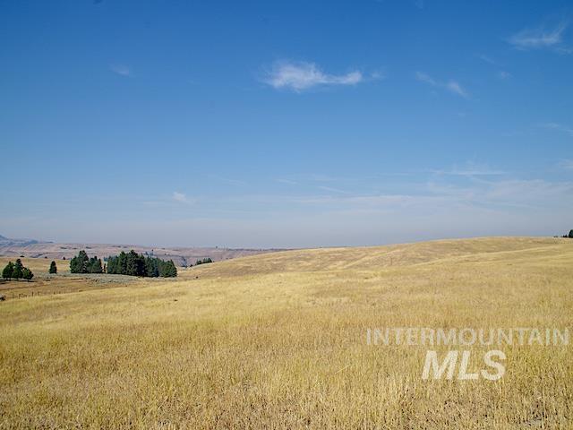 TBD Ditch Creek Road, Council, Idaho 83612, Land For Sale, Price $1,595,000,MLS 98988786
