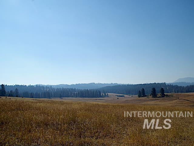 TBD Ditch Creek Road, Council, Idaho 83612, Land For Sale, Price $1,595,000,MLS 98988786
