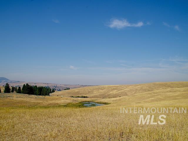 TBD Ditch Creek Road, Council, Idaho 83612, Farm & Ranch For Sale, Price $1,595,000,MLS 98988787