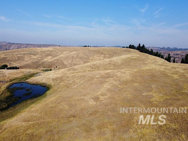 TBD Ditch Creek Road, Council, Idaho 83612, Farm & Ranch For Sale, Price $1,595,000,MLS 98988787
