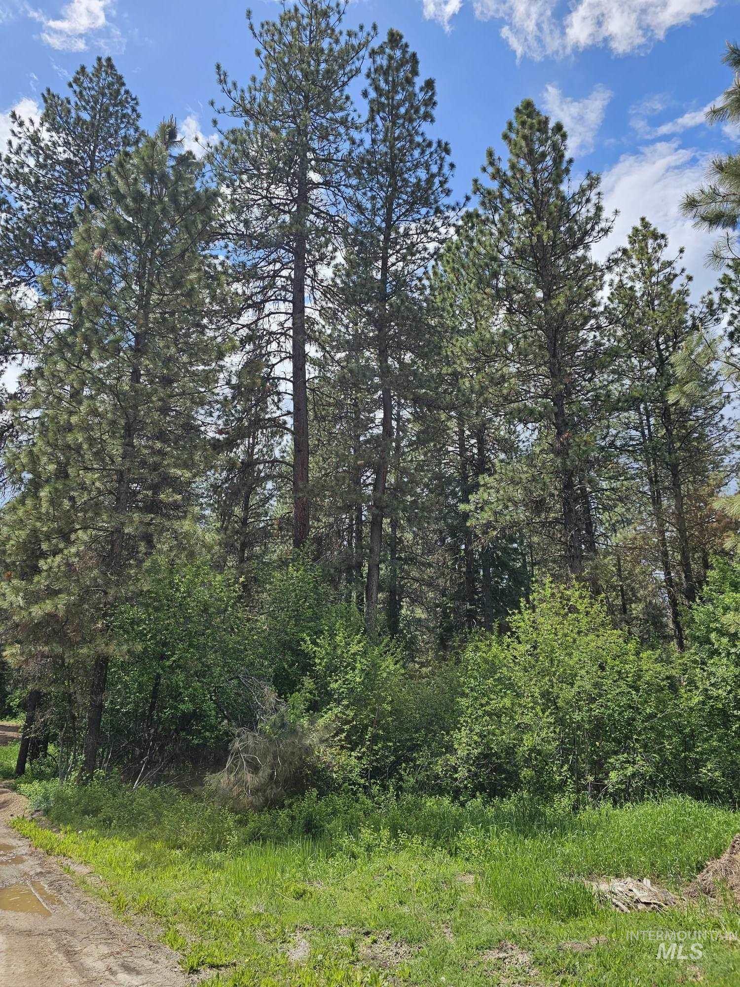 TBD Caseys Rd, Garden Valley, Idaho 83622, Land For Sale, Price $139,000, 98988797