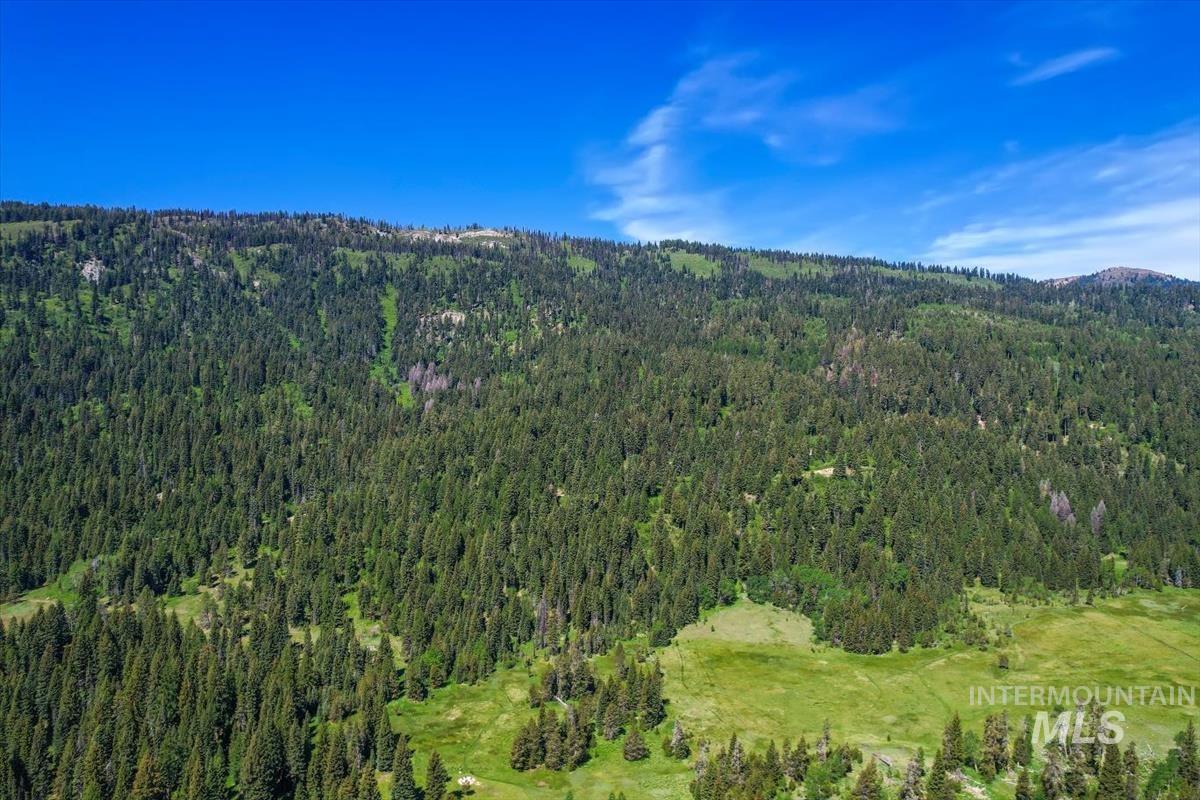 TBD No Business Road, Donnelly, Idaho 83638, Land For Sale, Price $750,000,MLS 98988814