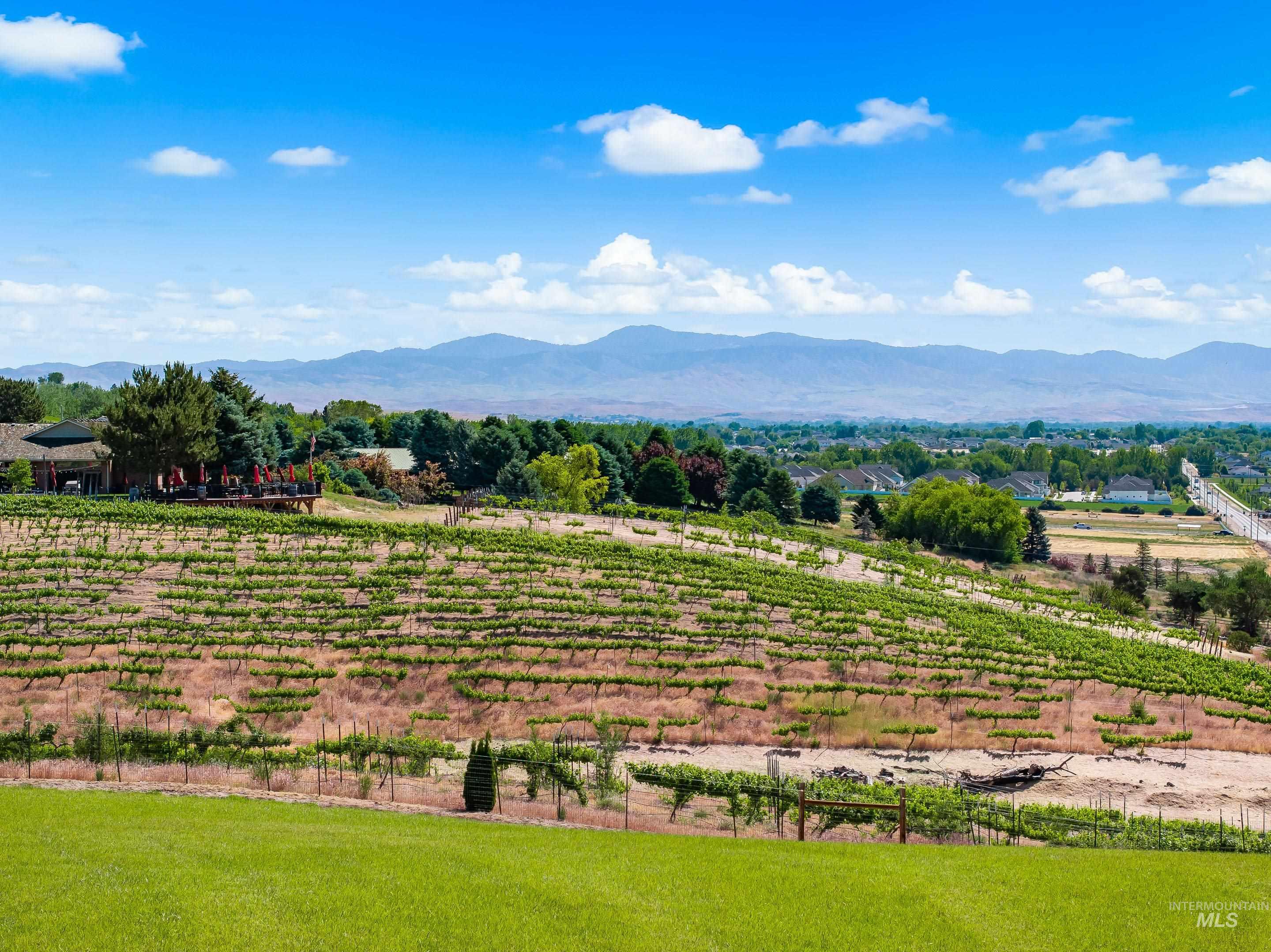 TBD Schmidt Ln, Star, Idaho 83644, Land For Sale, Price $1,599,900,MLS 98988876