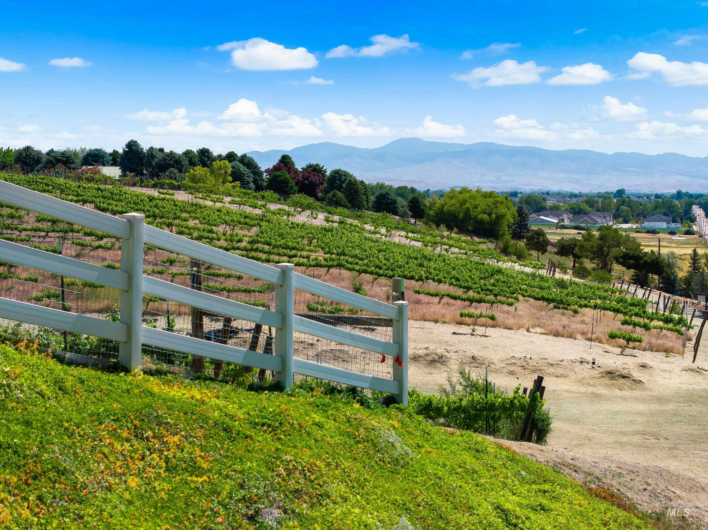 TBD Schmidt Ln, Star, Idaho 83644, Land For Sale, Price $1,599,900,MLS 98988876