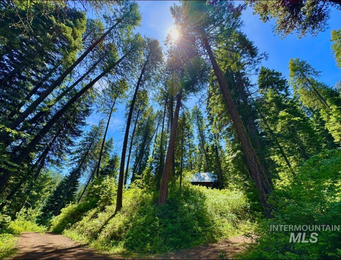Lot 2 Williams Creek, Banks, Idaho 83602, 1 Bedroom, 1 Bathroom, Residential For Sale, Price $275,000,MLS 98988883
