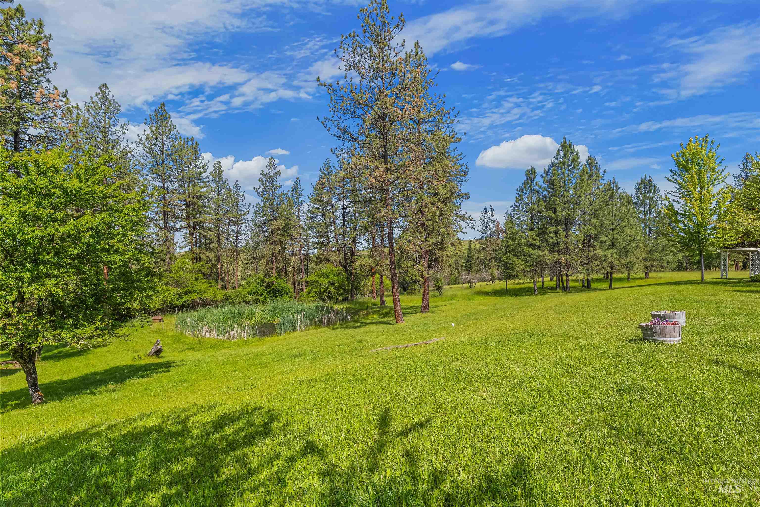 743 Wall Creek, Clearwater, Idaho 83552, 4 Bedrooms, 4.5 Bathrooms, Residential For Sale, Price $850,000,MLS 98988909