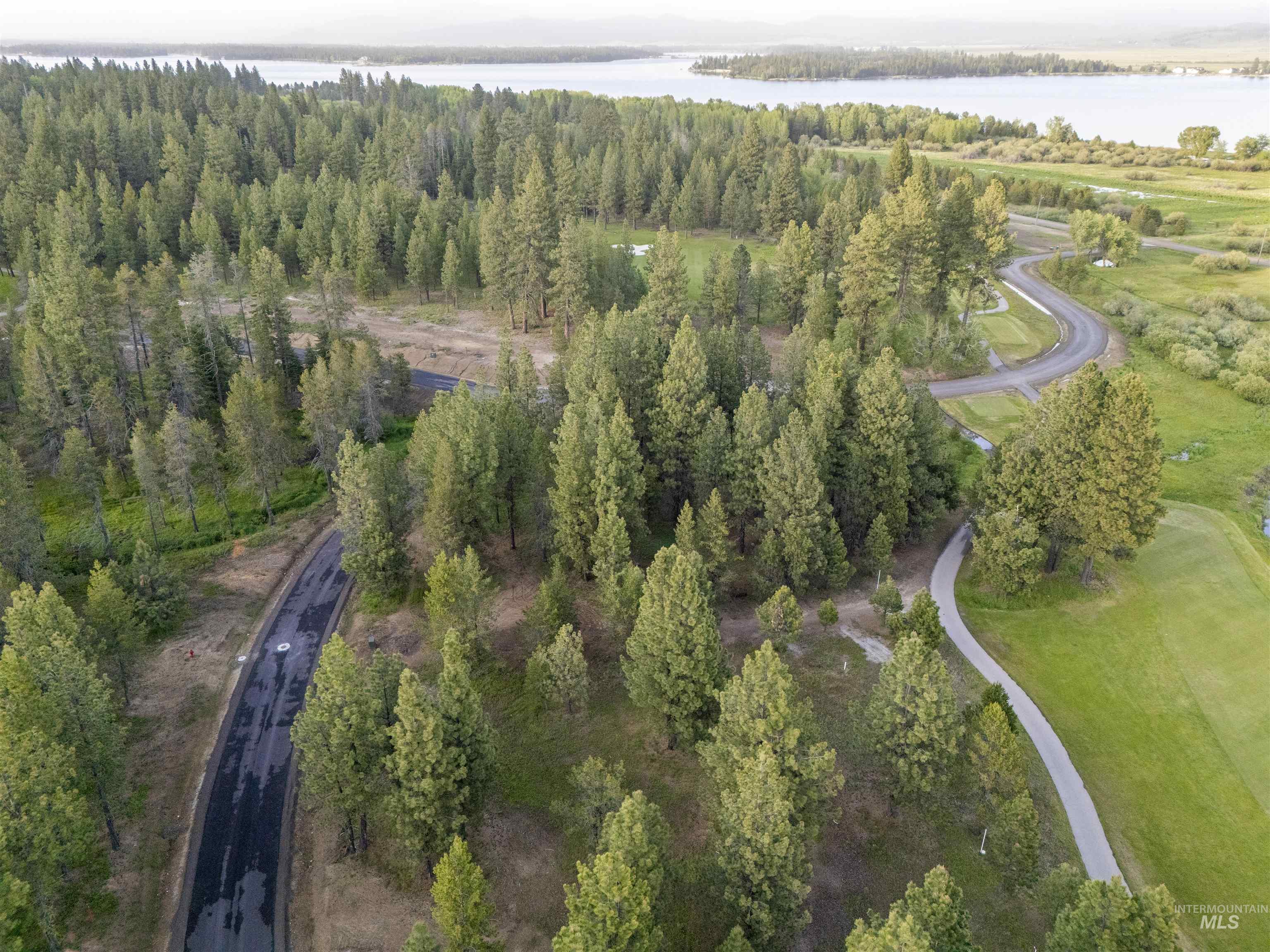 4 D'Alessio Court, Donnelly, Idaho 83615, Land For Sale, Price $699,000,MLS 98988950