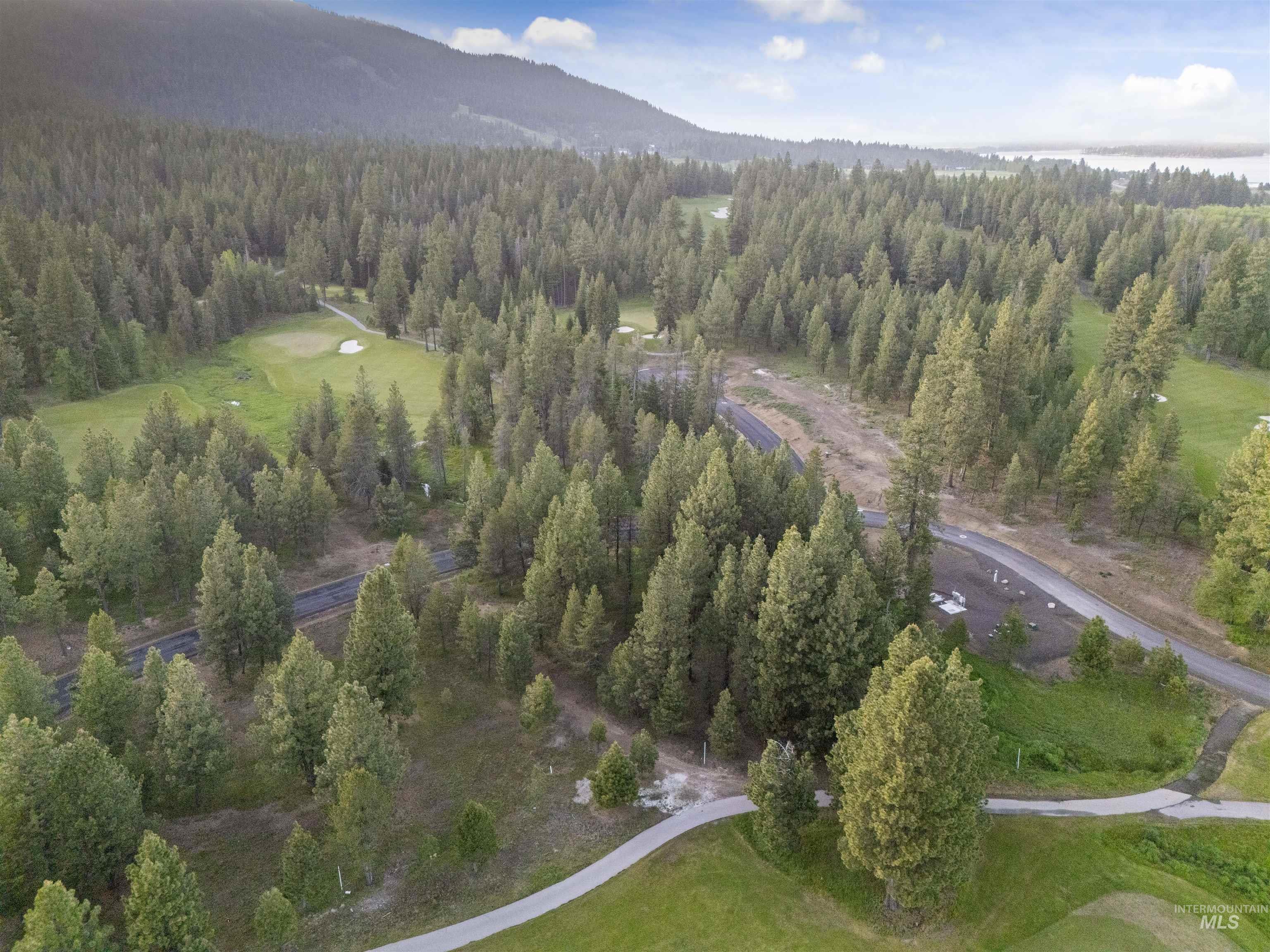 4 D'Alessio Court, Donnelly, Idaho 83615, Land For Sale, Price $699,000,MLS 98988950