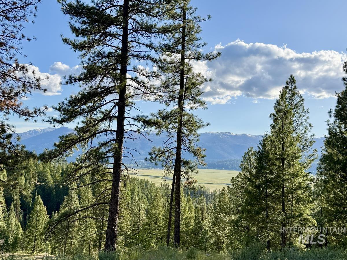 18 Tito Trail, Cascade, Idaho 83611, Land For Sale, Price $309,000,MLS 98989031