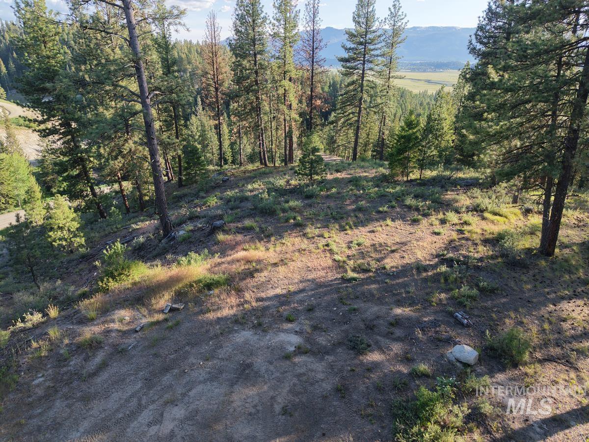 18 Tito Trail, Cascade, Idaho 83611, Land For Sale, Price $309,000,MLS 98989031