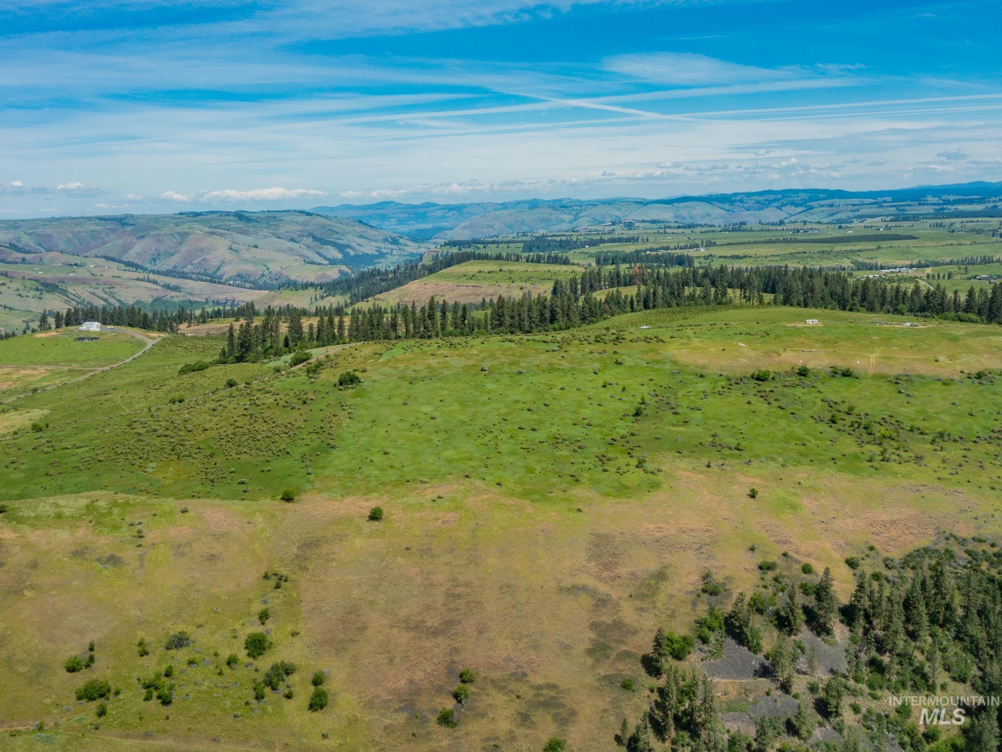 TBD Brotnov Rd., Clearwater, Idaho 83552, Land For Sale, Price $245,000,MLS 98989092