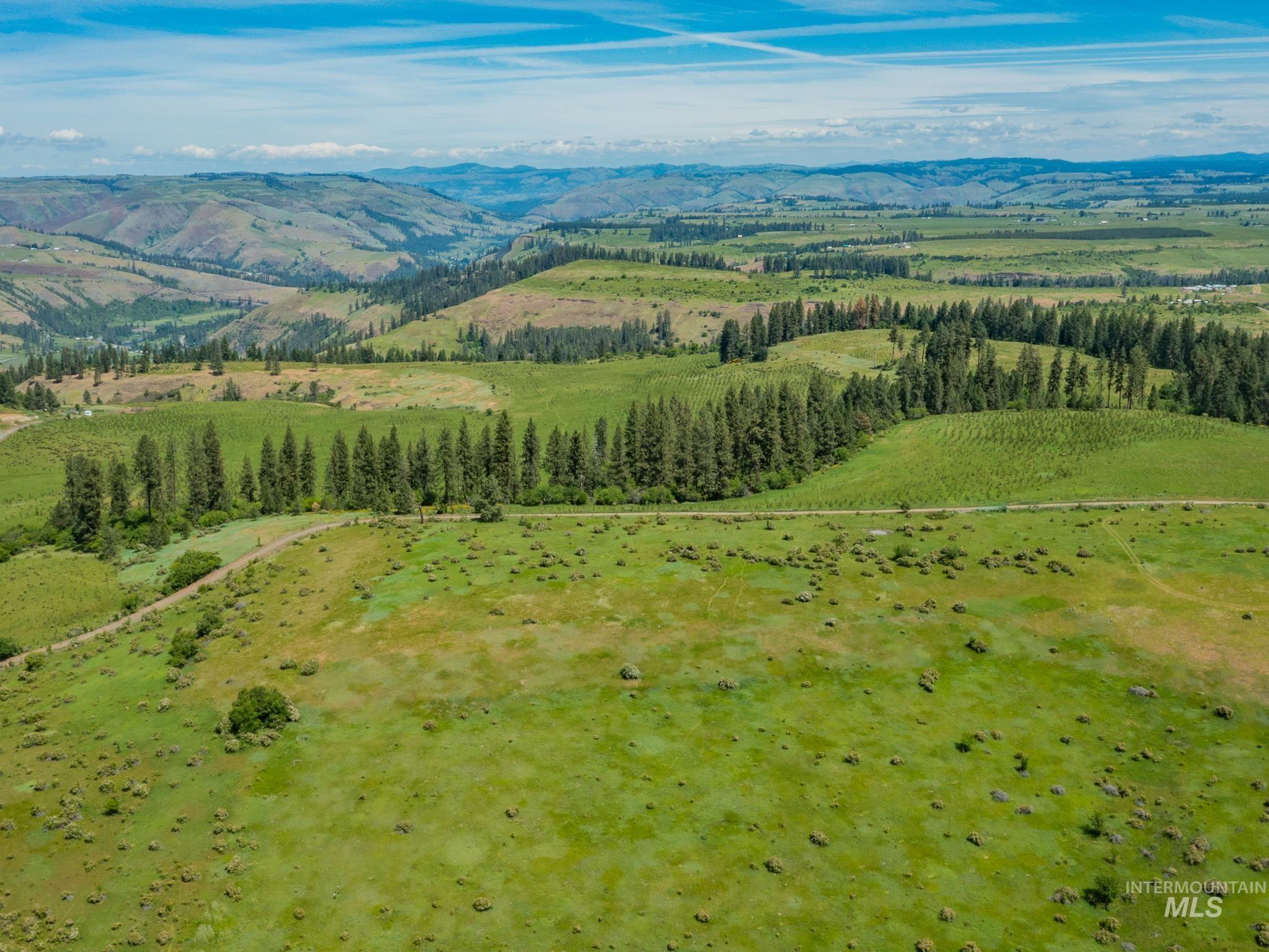 TBD Brotnov Rd., Clearwater, Idaho 83552, Land For Sale, Price $245,000,MLS 98989092