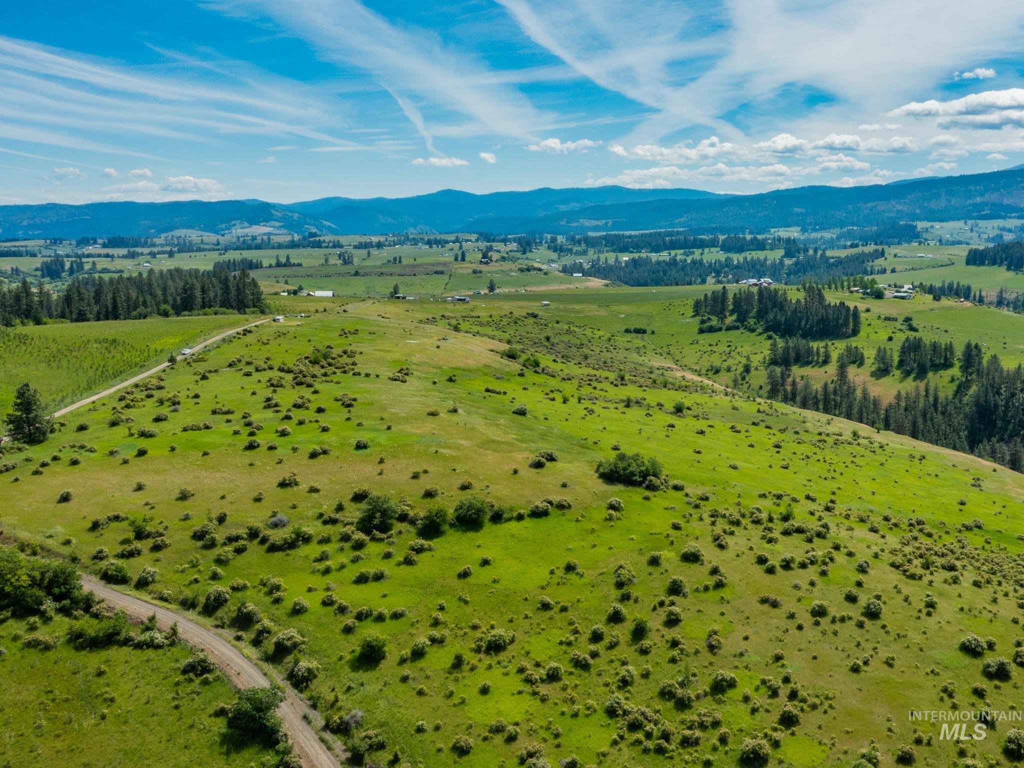 TBD Brotnov Rd., Clearwater, Idaho 83552, Land For Sale, Price $245,000,MLS 98989092