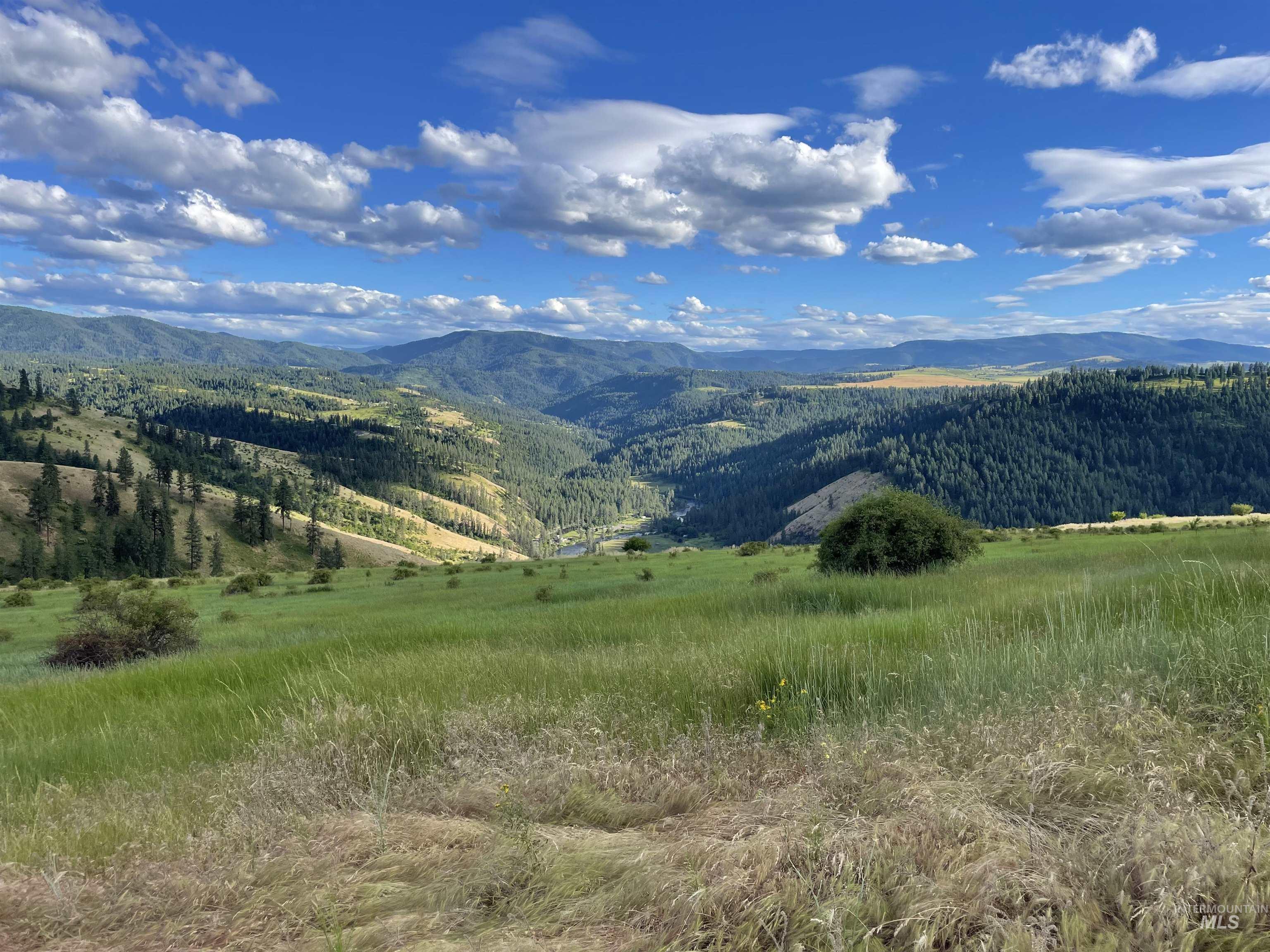 TBD Brotnov Rd., Clearwater, Idaho 83552, Land For Sale, Price $245,000,MLS 98989092