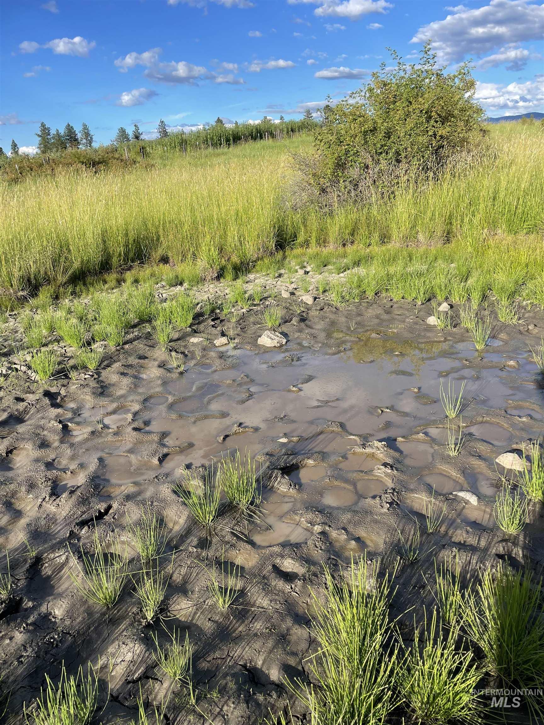 TBD Brotnov Rd., Clearwater, Idaho 83552, Land For Sale, Price $245,000,MLS 98989092