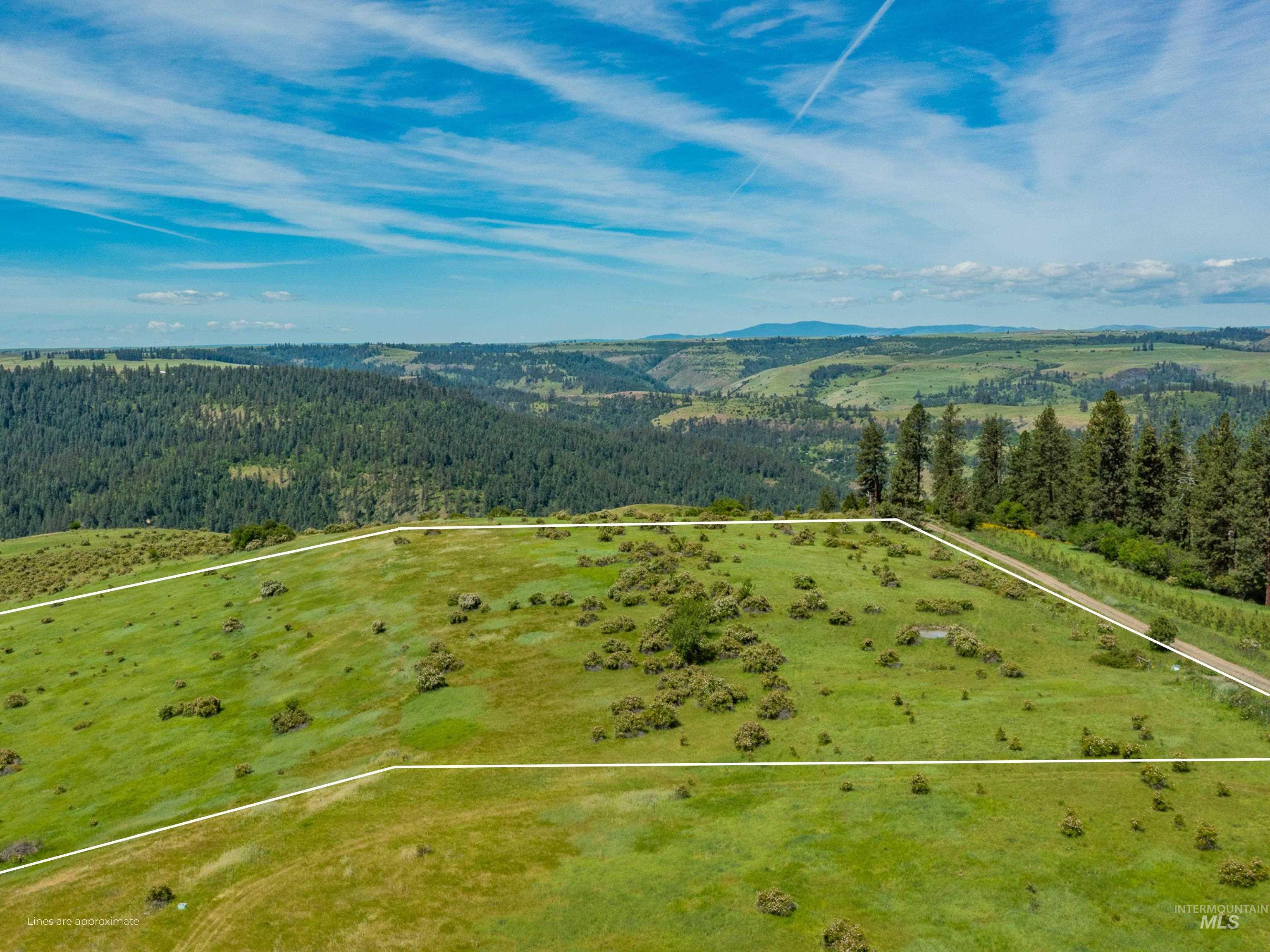 TBD Brotnov Rd., Clearwater, Idaho 83552, Land For Sale, Price $245,000,MLS 98989092