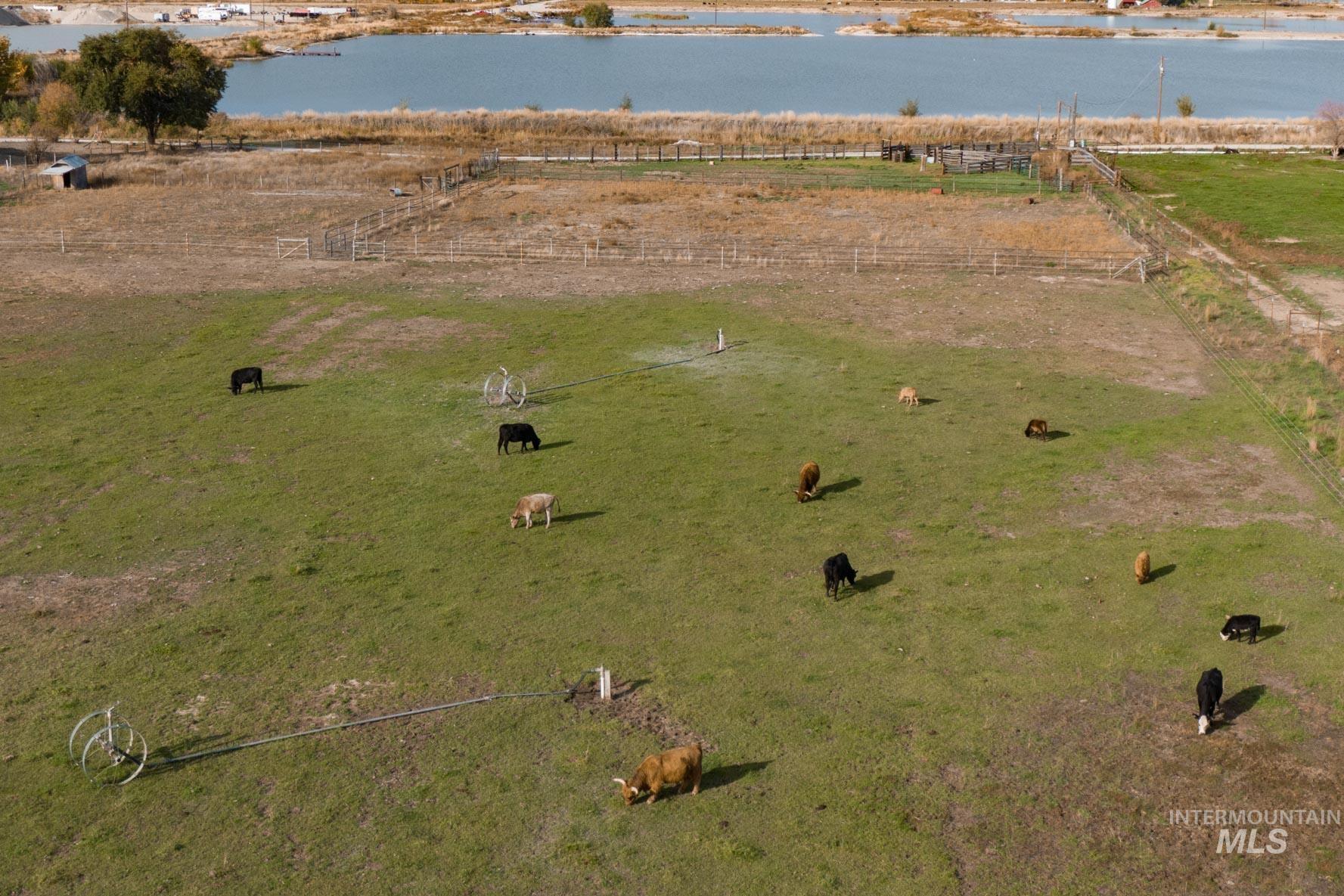 1823 W Sales Yard Rd, Emmett, Idaho 83617, 4 Bedrooms, 3 Bathrooms, Residential For Sale, Price $1,100,000,MLS 98989183