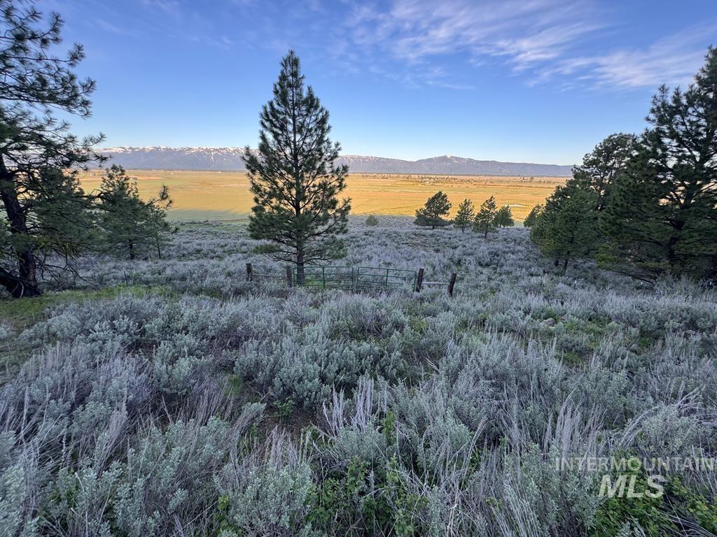 TAX LOT 6&7 Finlandia, McCall, Idaho 83638, Land For Sale, Price $560,000,MLS 98989185
