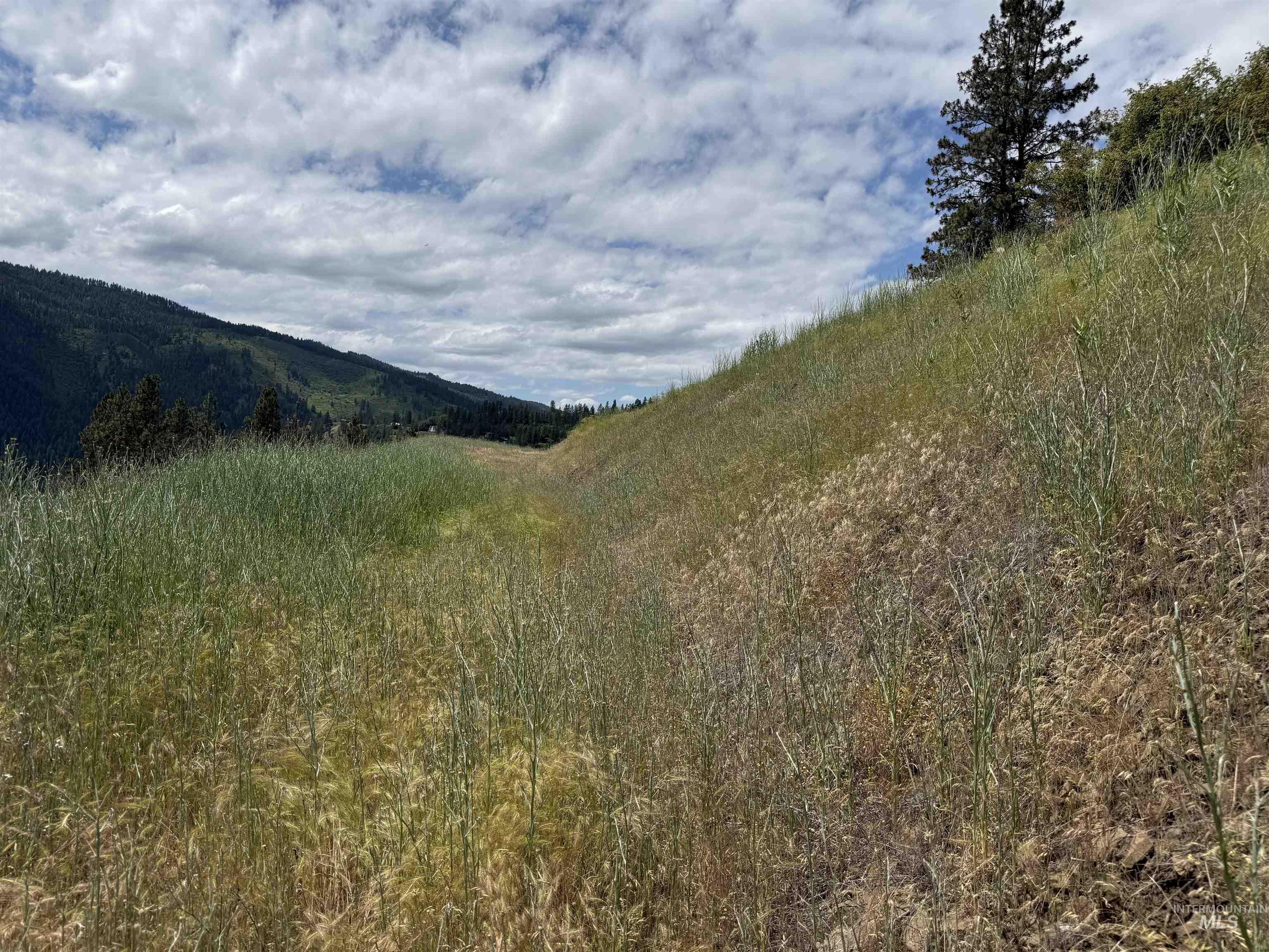 618 Old Peck Grade, Lenore, Idaho 83541, Land For Sale, Price $250,000,MLS 98989245