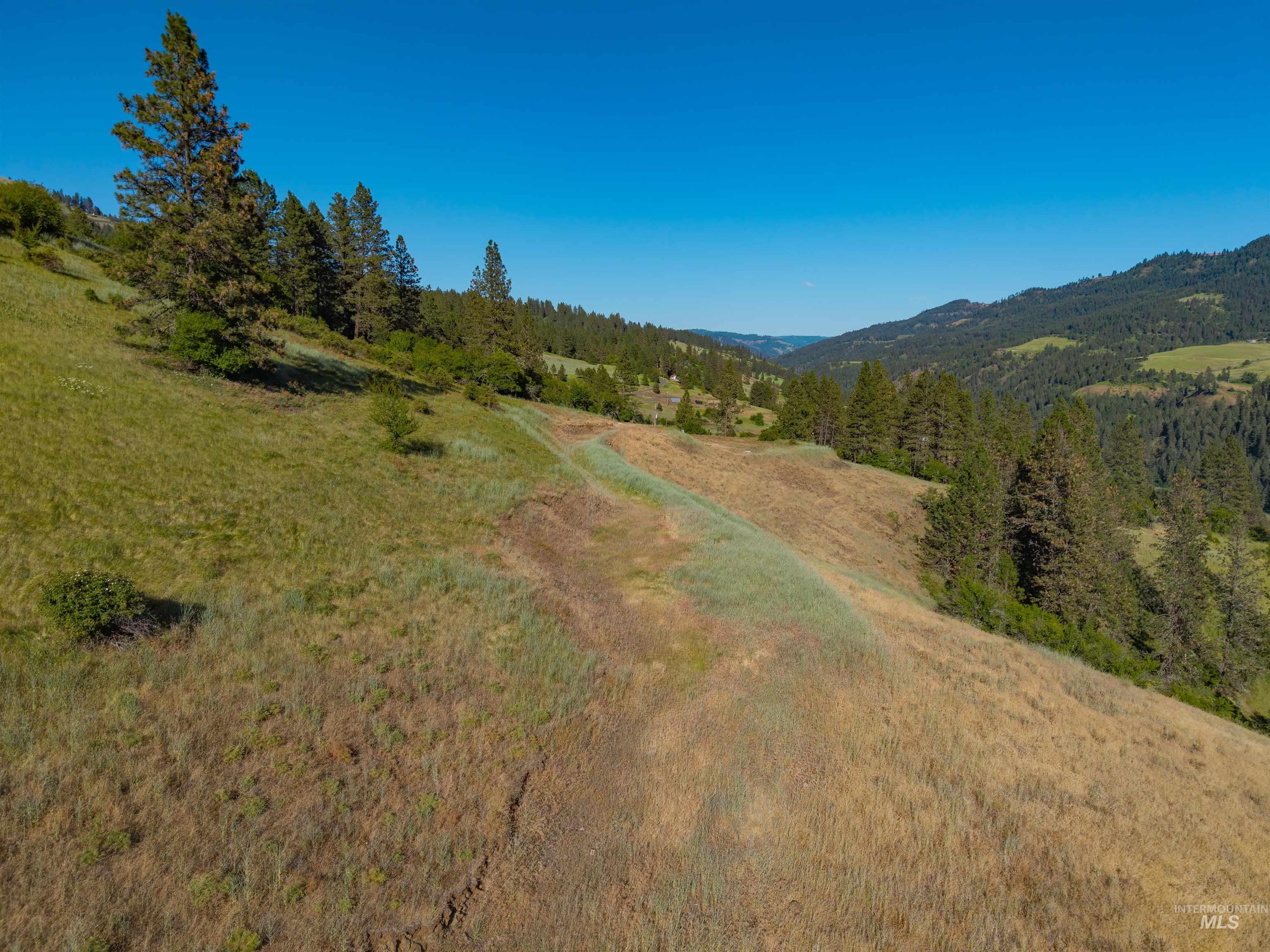 618 Old Peck Grade, Lenore, Idaho 83541, Land For Sale, Price $250,000,MLS 98989245