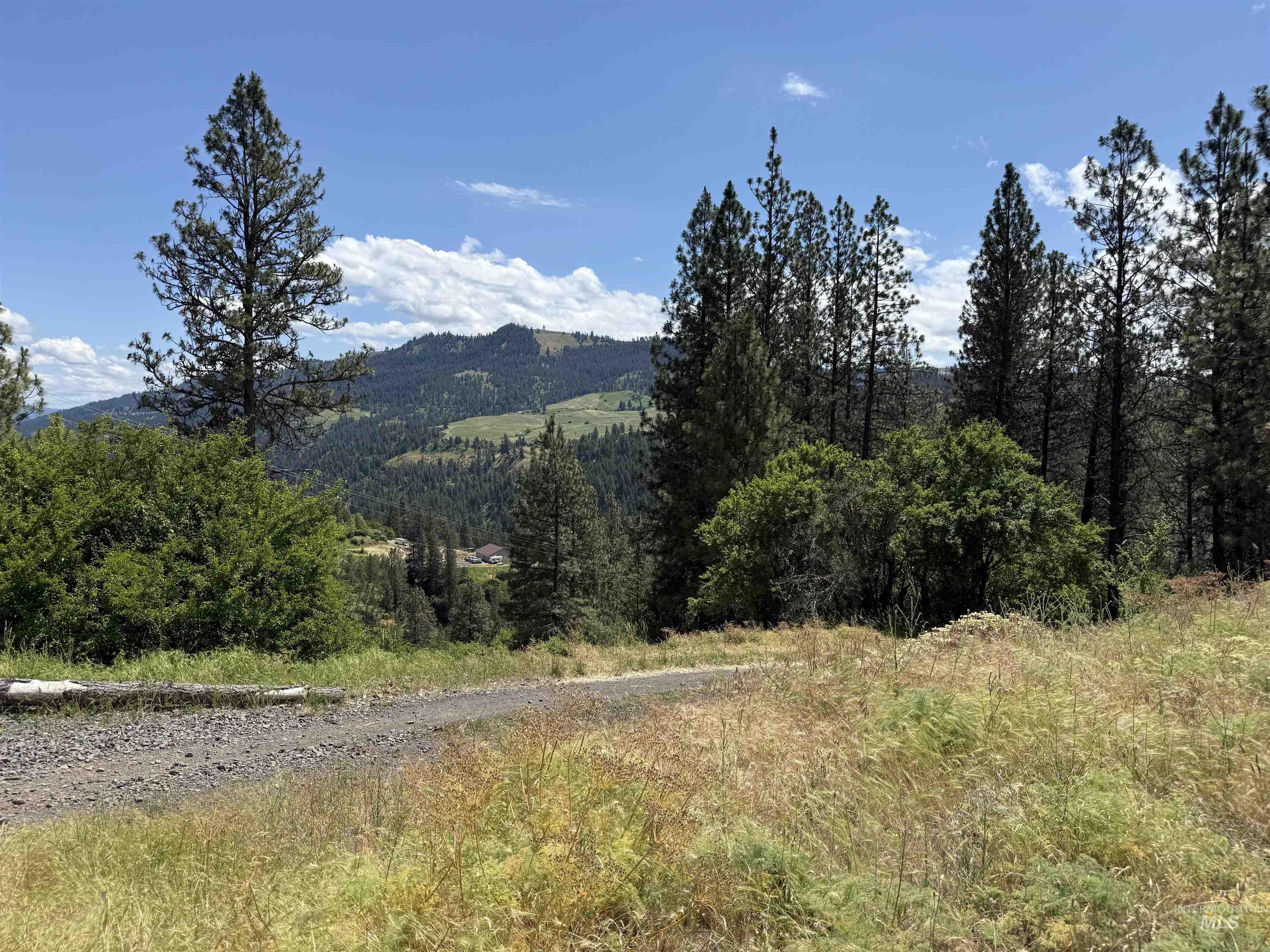 618 Old Peck Grade, Lenore, Idaho 83541, Land For Sale, Price $250,000,MLS 98989245