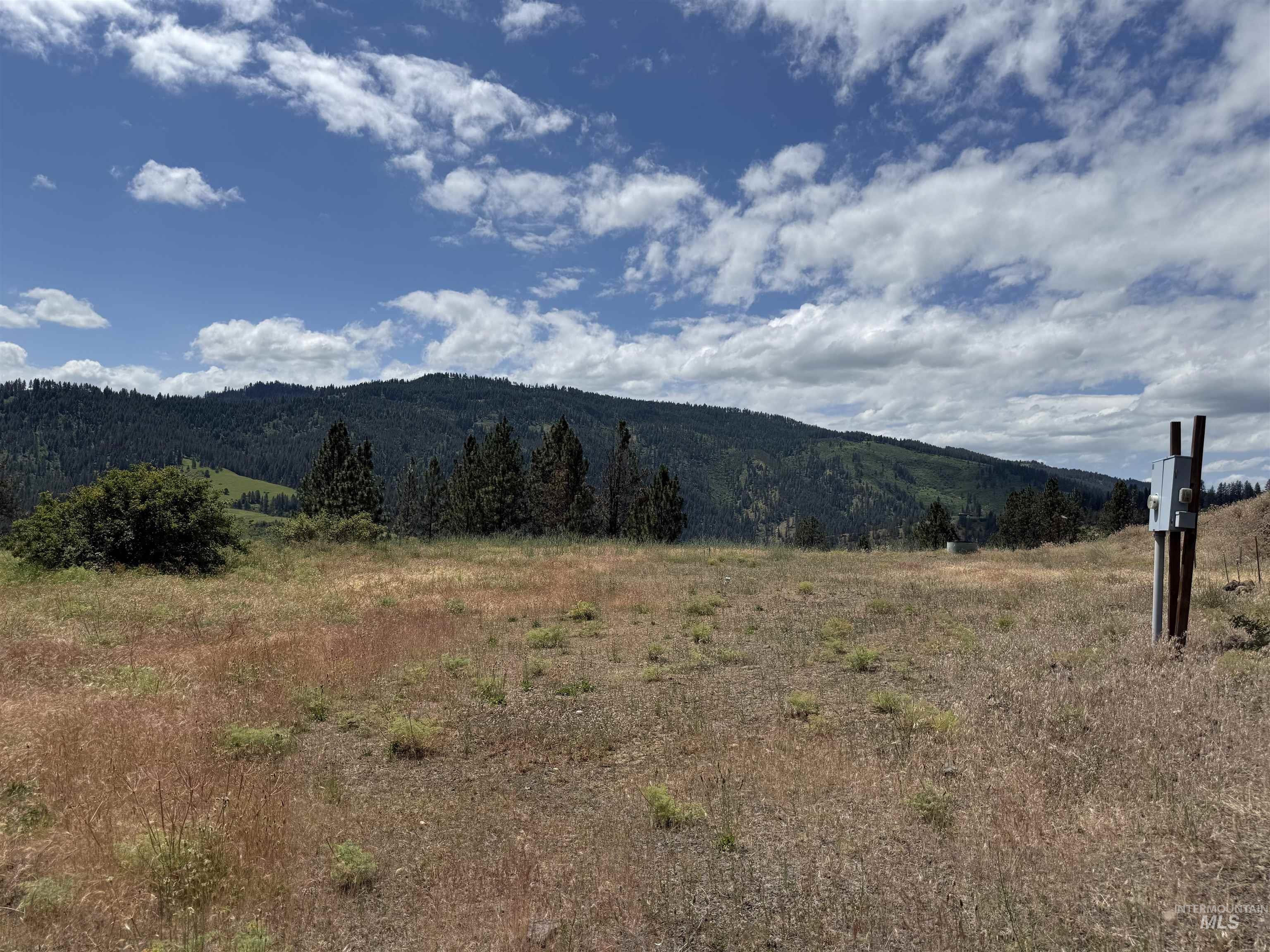 618 Old Peck Grade, Lenore, Idaho 83541, Land For Sale, Price $250,000,MLS 98989245